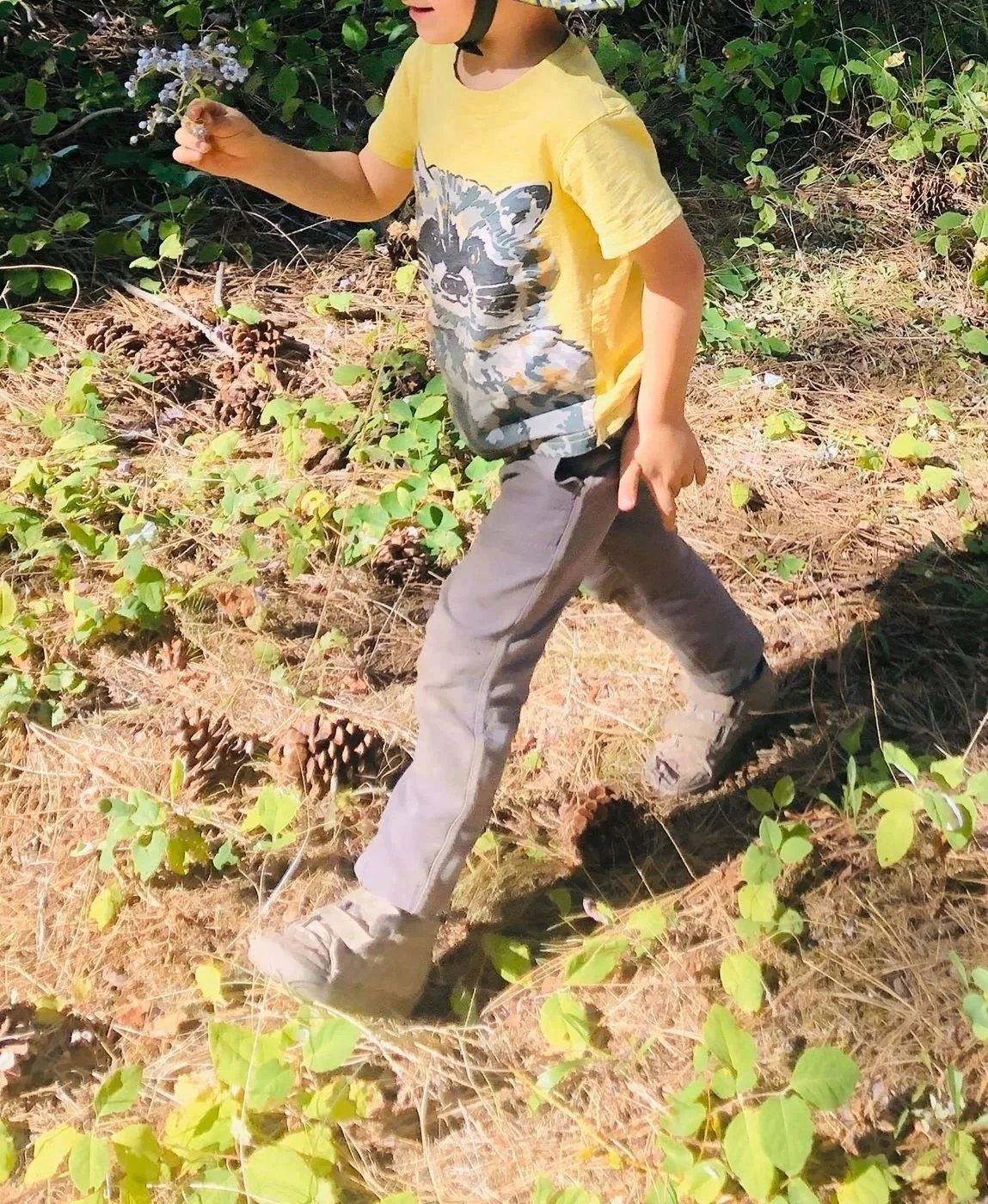 A young boy wearing a yellow T-shirt with an animal print, khaki pants, and beige boots walking through a forested trail holding a small bunch of white flowers.