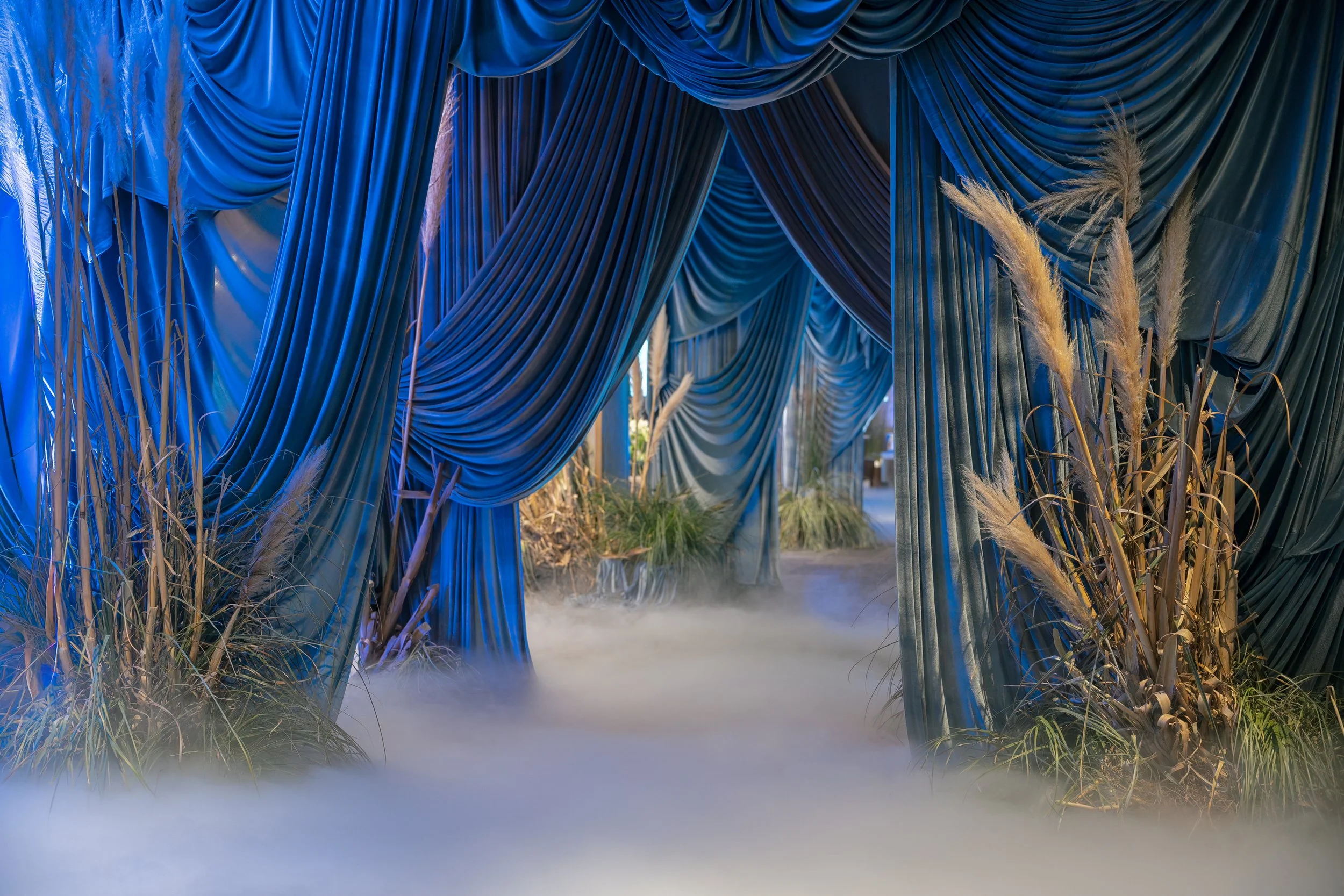 A dramatic scene with large, blue draped curtains and plants with tall, beige, feathery grasses, and mist on the ground.