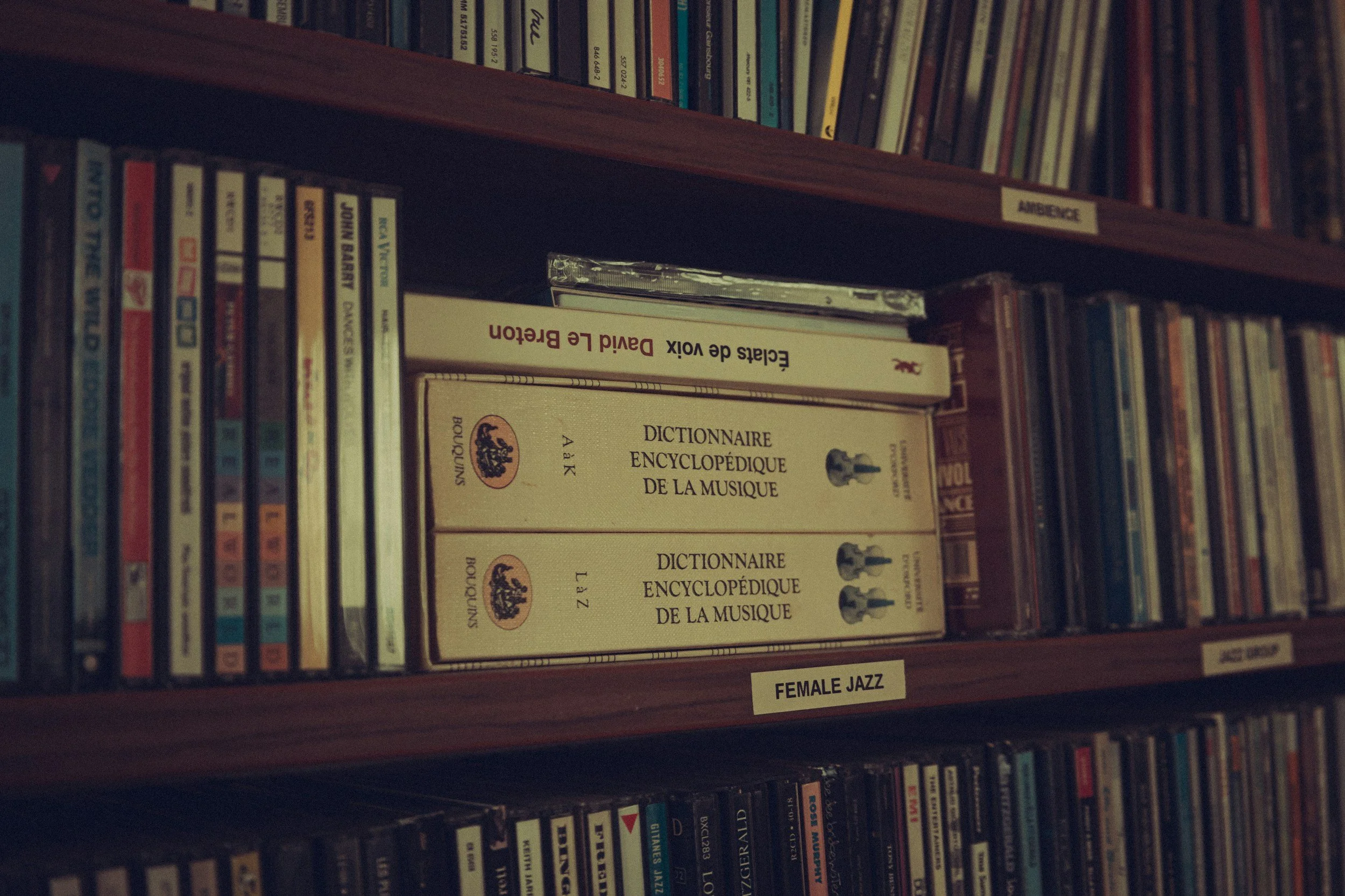 A bookshelf with a variety of books and CDs, including a French music dictionary titled 'Dictionnaire Encyclopédique de la Musique' and a section labeled 'Female Jazz'.