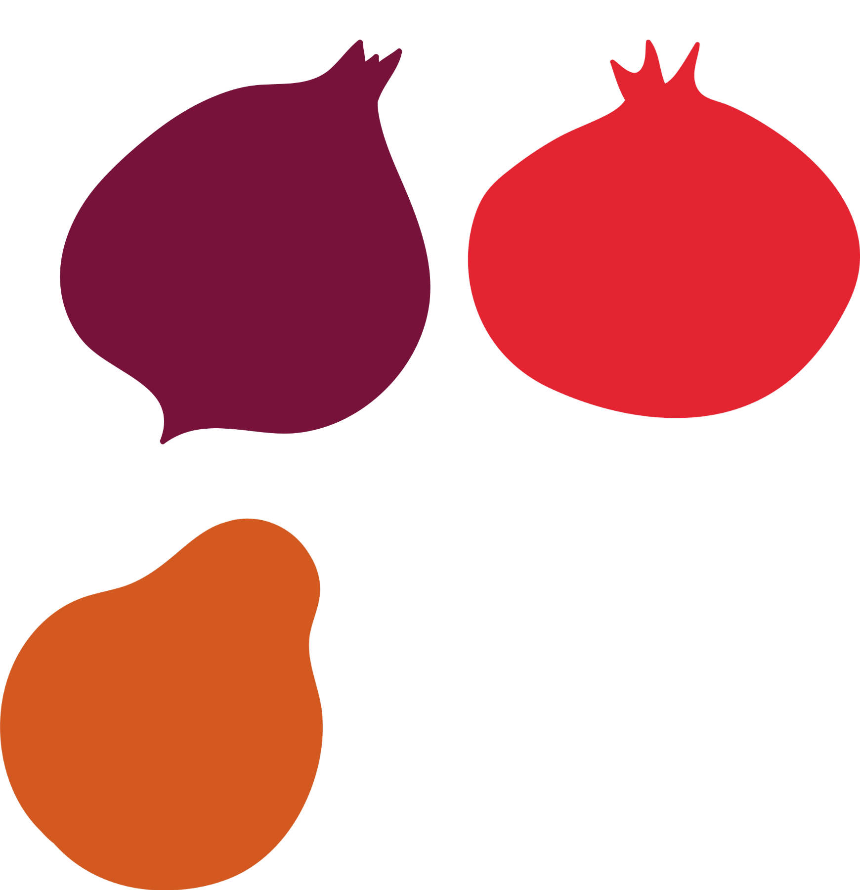 Illustration of an onion, a pomegranate, and a tangerine, all in silhouette style with solid colors, graphic for Sprout Feeding Therapy.