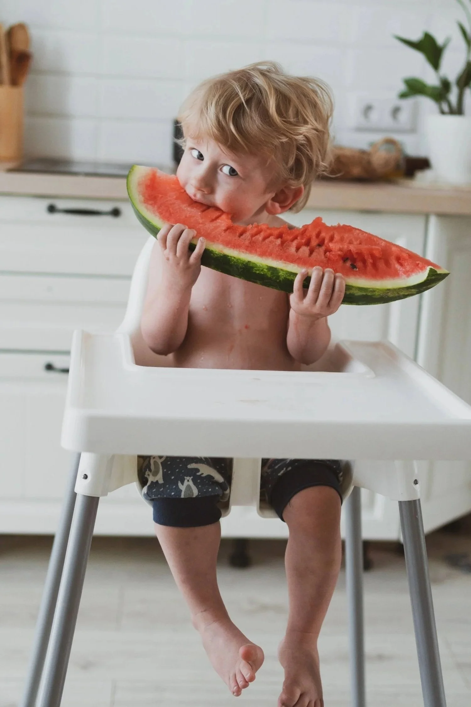 Child in a highchair eating a slice of watermelon during feeding therapy in NYC