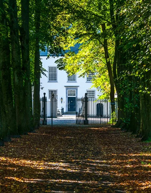 Tree-lined pathway leading to a white house with black gates and a black front door.