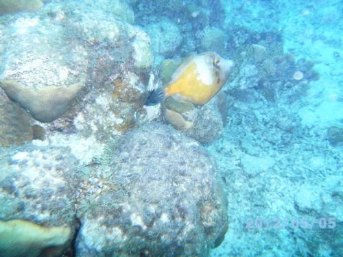 PICT2992 (2018_12_28 20_32_31 UTC).JPG