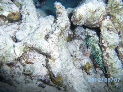 PICT3169 (2018_12_28 20_32_31 UTC).JPG