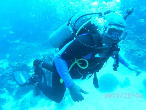 PICT3231 (2018_12_28 20_32_31 UTC).JPG