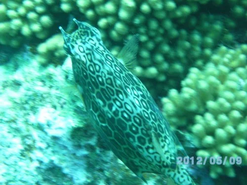 PICT3354 (2018_12_28 20_32_31 UTC).JPG