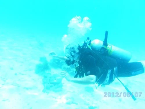 PICT3135 (2018_12_28 20_32_31 UTC).JPG