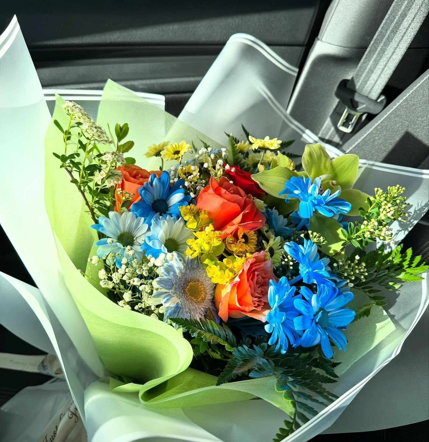 Some recent favorites! 🍾🎓