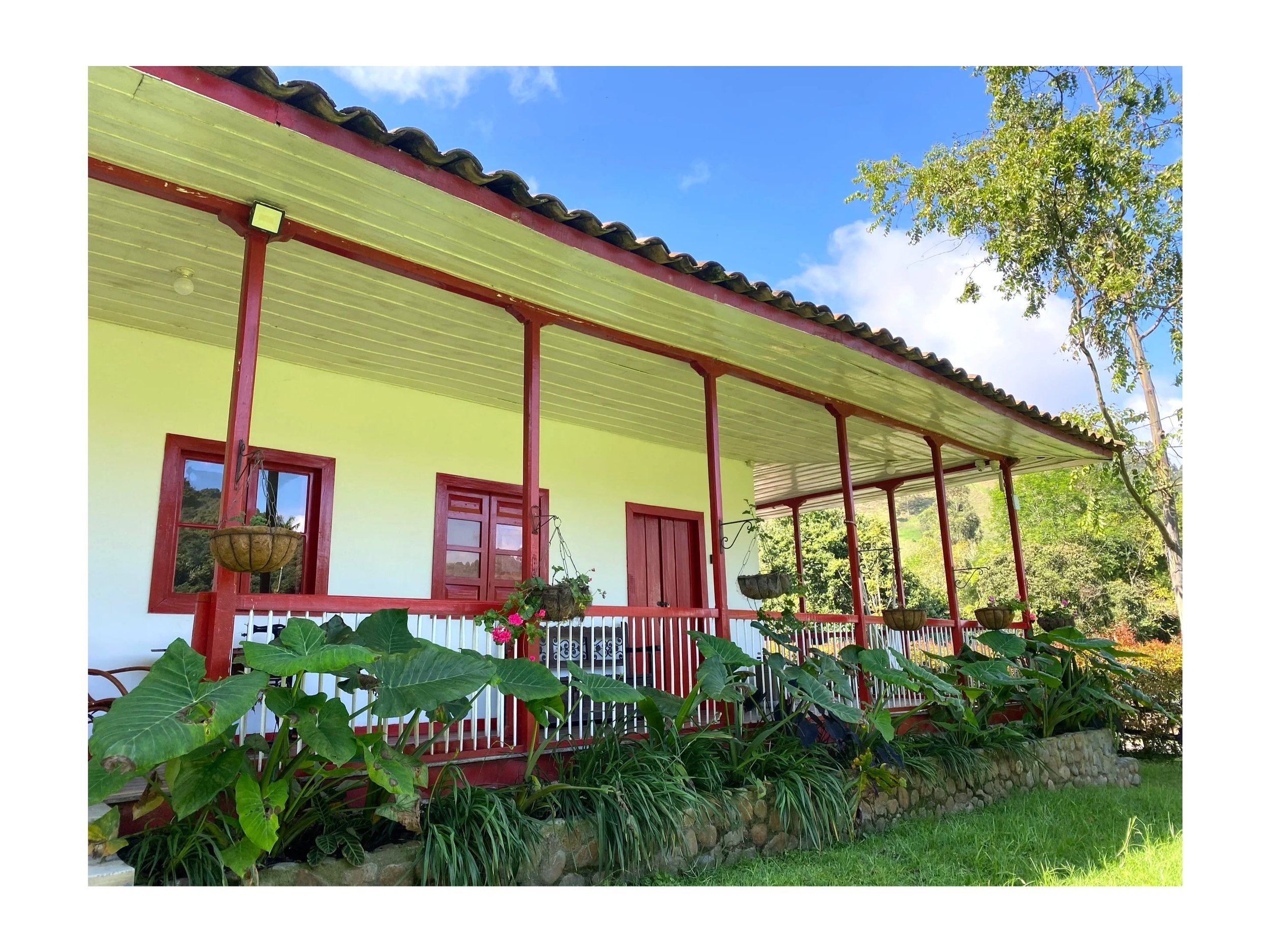 Traditional houses and fincas in Salento, Colombia are beautiful and colorful. Stay at a house like this during a guided trip to Salento and be close to the Cocora Valley hike.