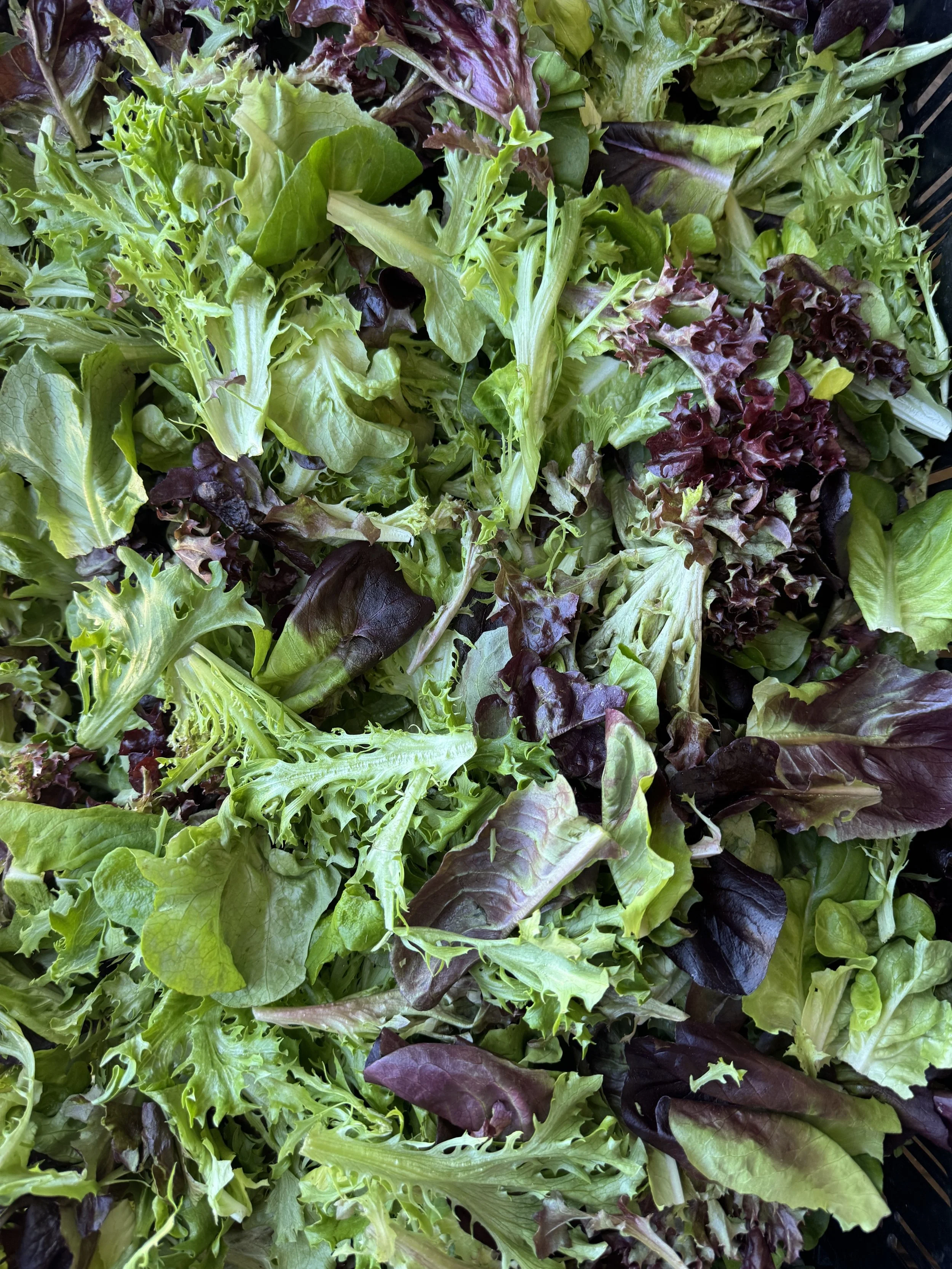 spring mix.jpg