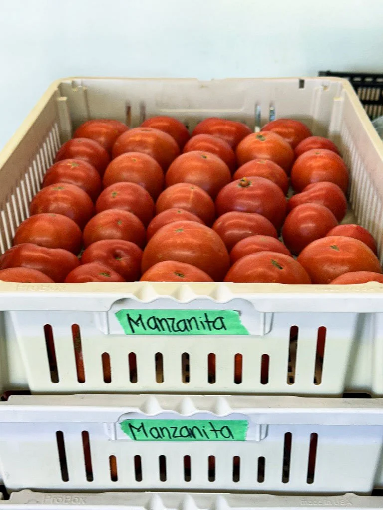 Is CSA Right For Me?