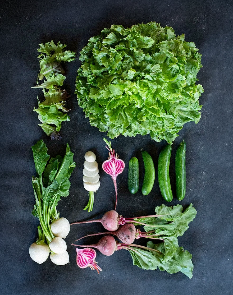 whipston farm share cs.webp
