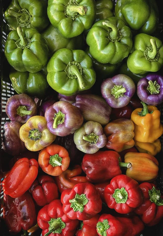 whipstone farm farmers market produce.jpg