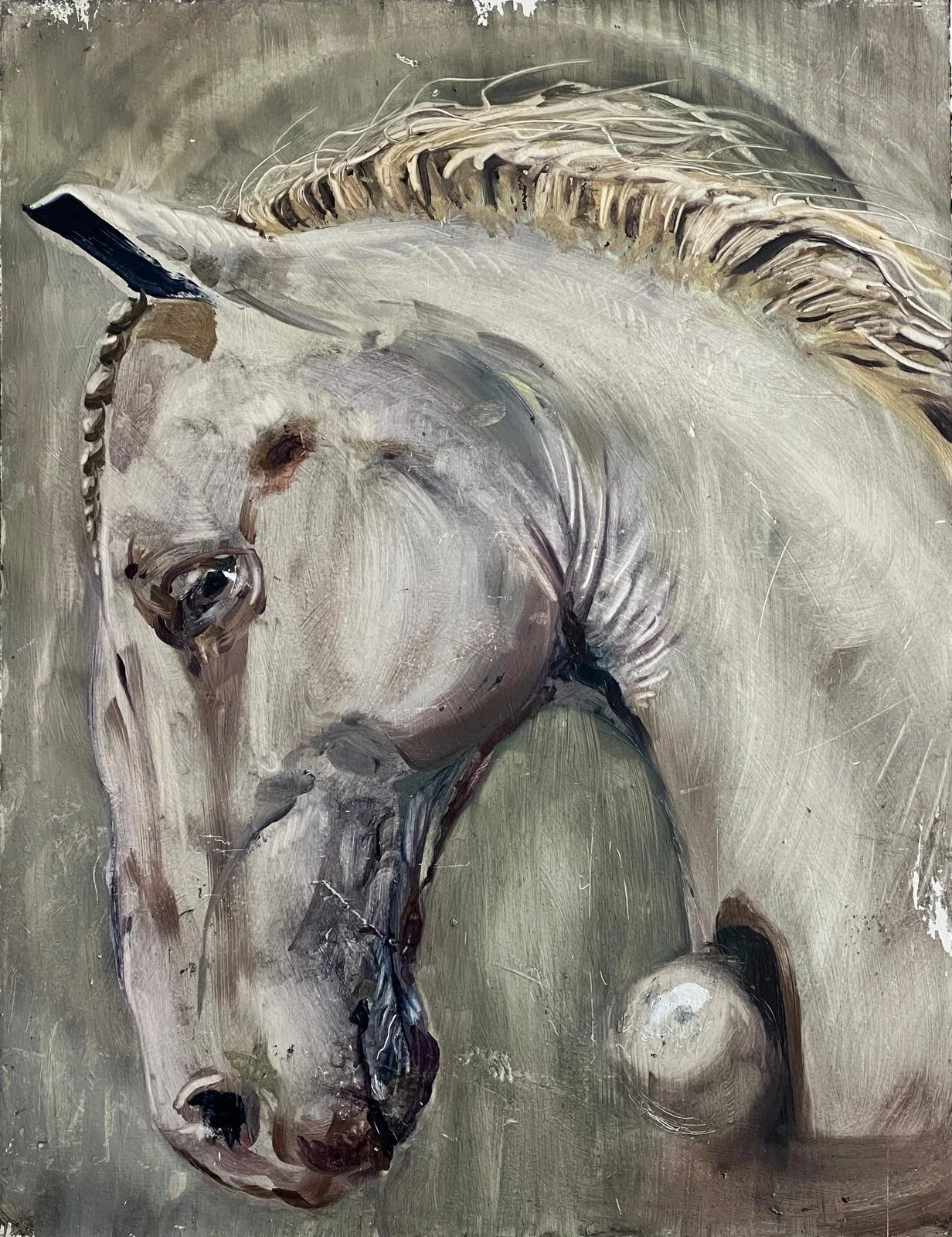 WhatsApp Image 2026-01-14 at 6.45.20 PM (1).jpeg