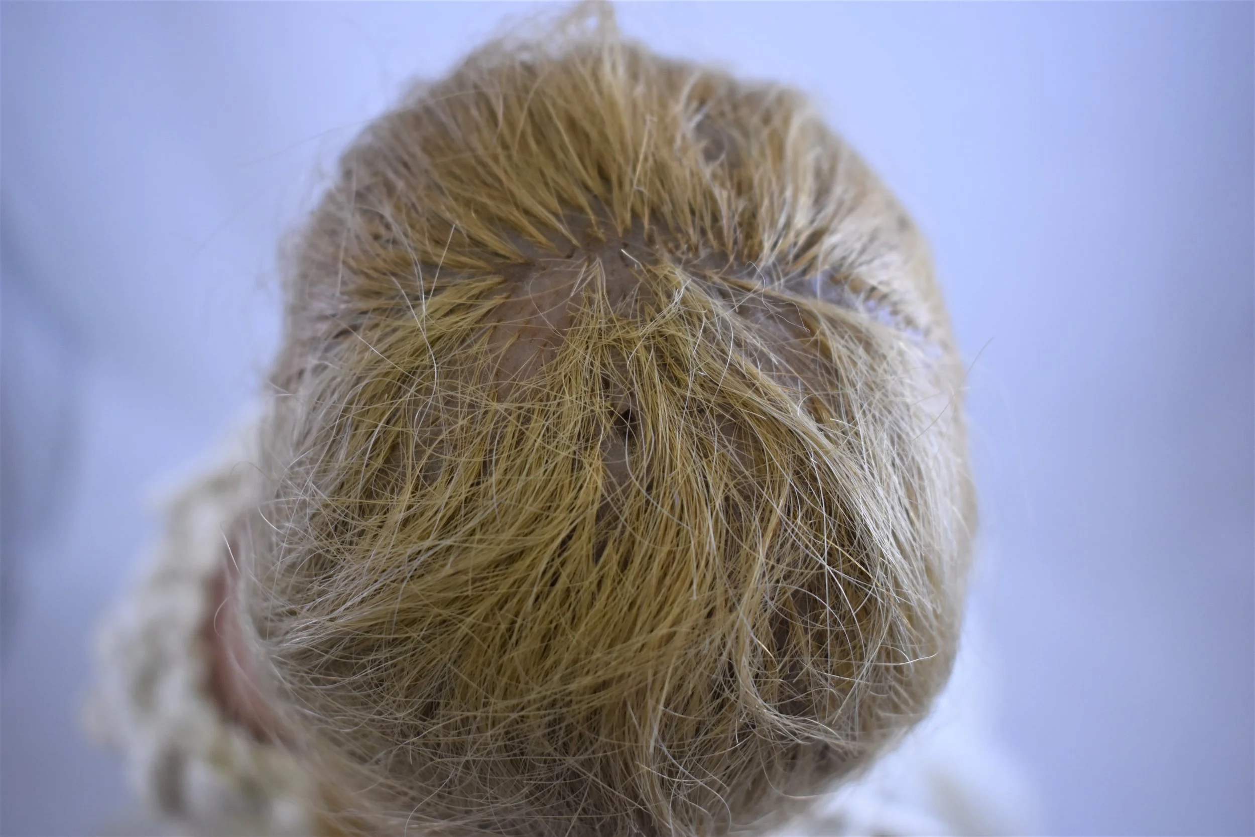 Hair rooted in wax scalp.