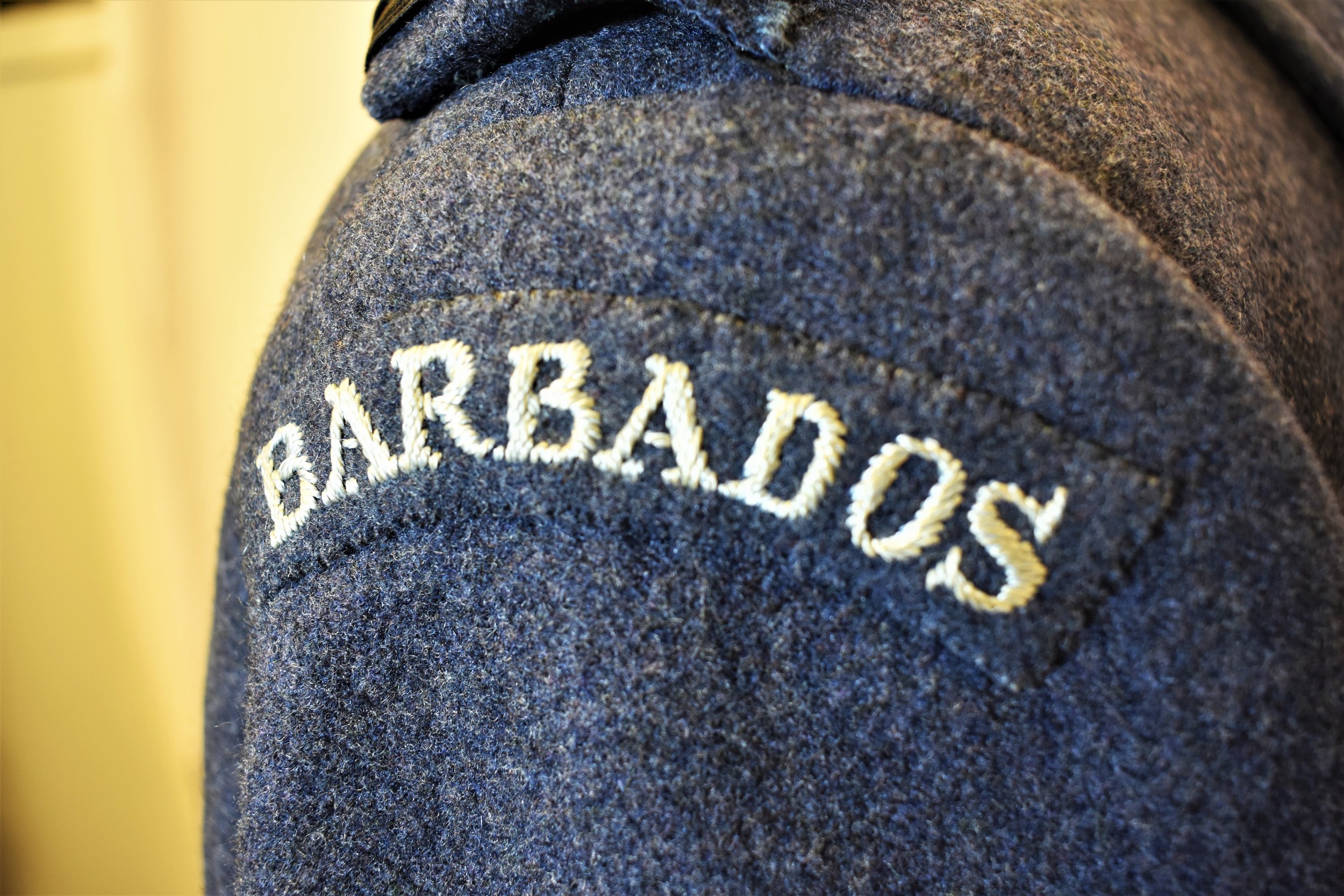 RAF great coat barbados insignia.JPG
