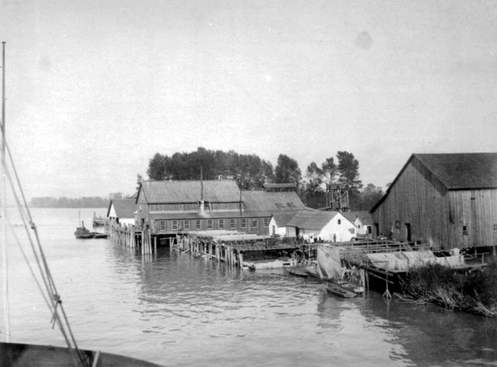 A DEAS ISLAND CANNERY, CIRCA 1892, MANY YEARS AFTER JOHN DEAS HAD LEFT THE REGION.  
SOURCE: ITEM D-05348, COURTESY OF THE ROYAL BC MUSEUM