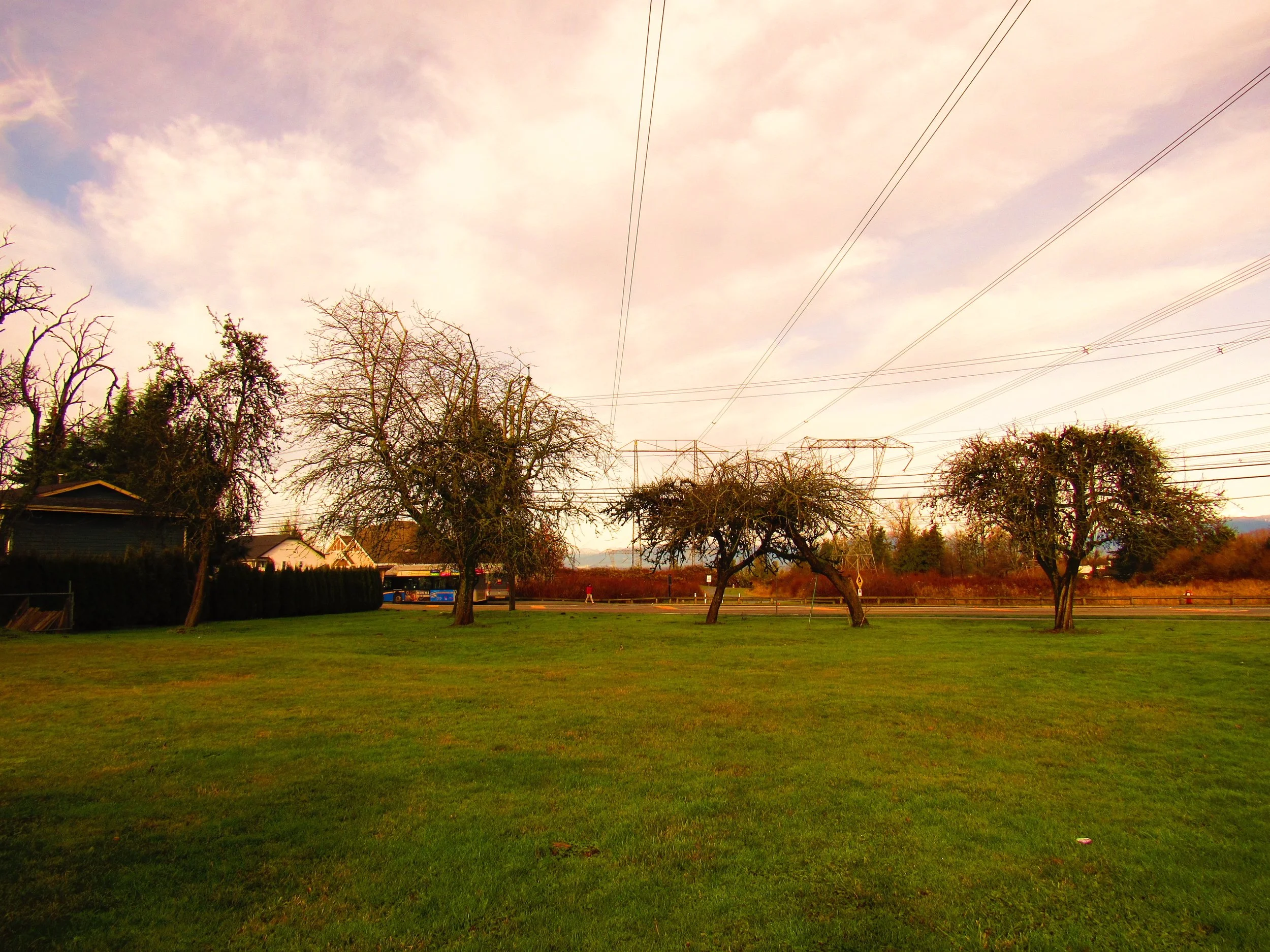 Henry Houston Scott Park still has some apple trees that were part of the Scott family’s orchard. Across the street from this park is a historic plaque that was erected by the Surrey Historical Society to commemorate the Scott family.