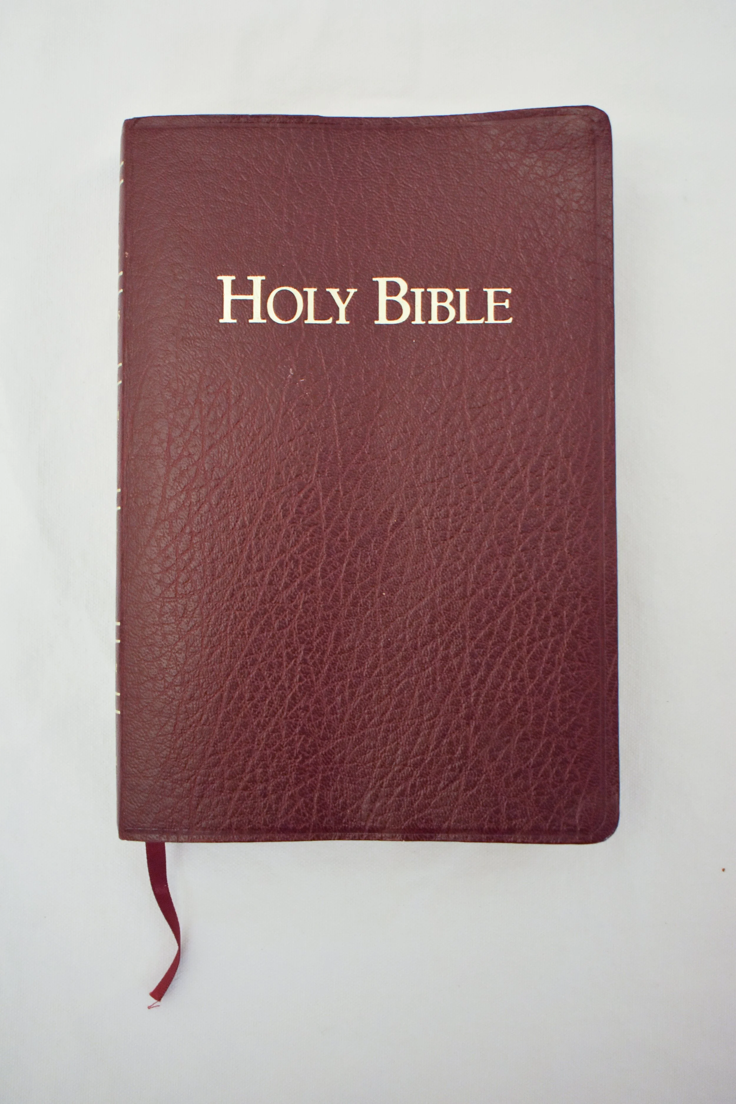 The Warner family bible.