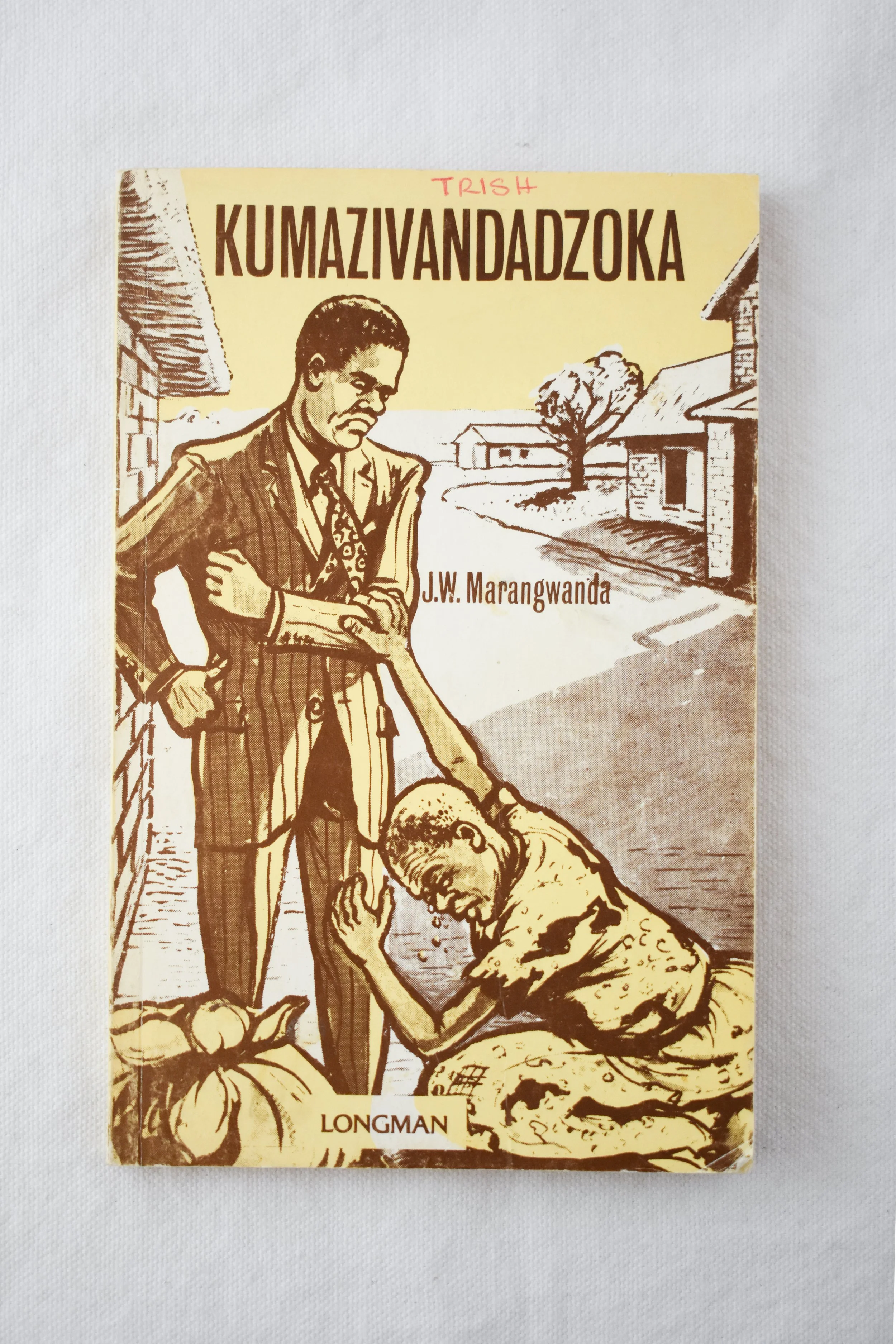 An earlier work of fiction in Shona from 1959 by pioneering Shona novelist J.W. Marangwanda. The title translates to “School of Experience.”