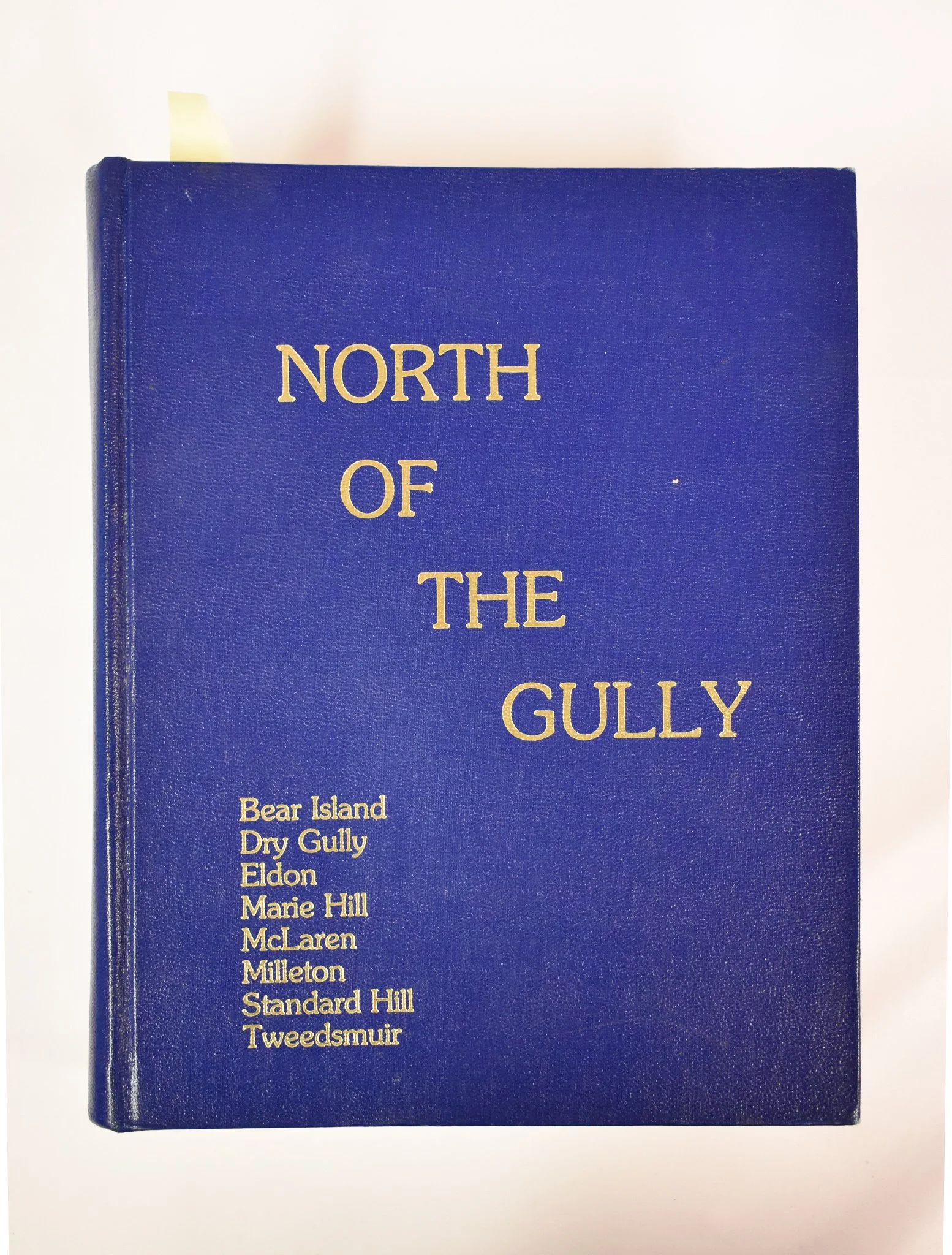 A book about the Shiloh settlement, an African-American Baptist religious settlement established in 1910. In the early 1900’s, a group of 11 families travelled north from Oklahoma with the promise of free land and civil rights in Western Canada; once