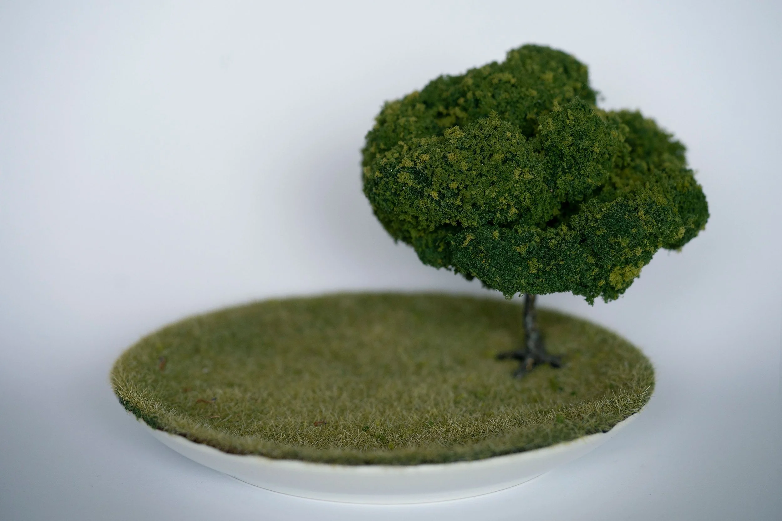 Grass Carpet by Lesley DeHaan