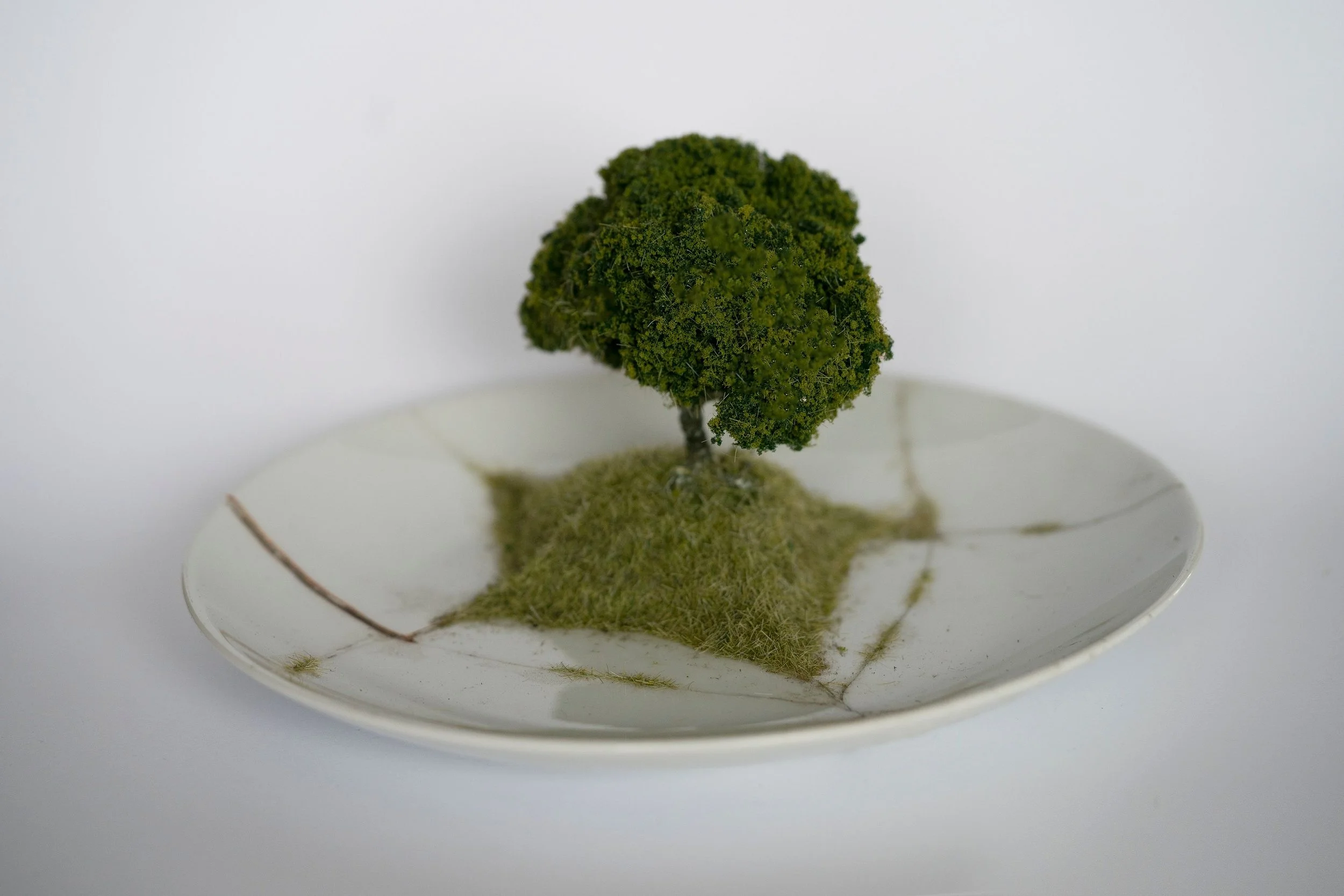 Broken Plate by Lesley DeHaan