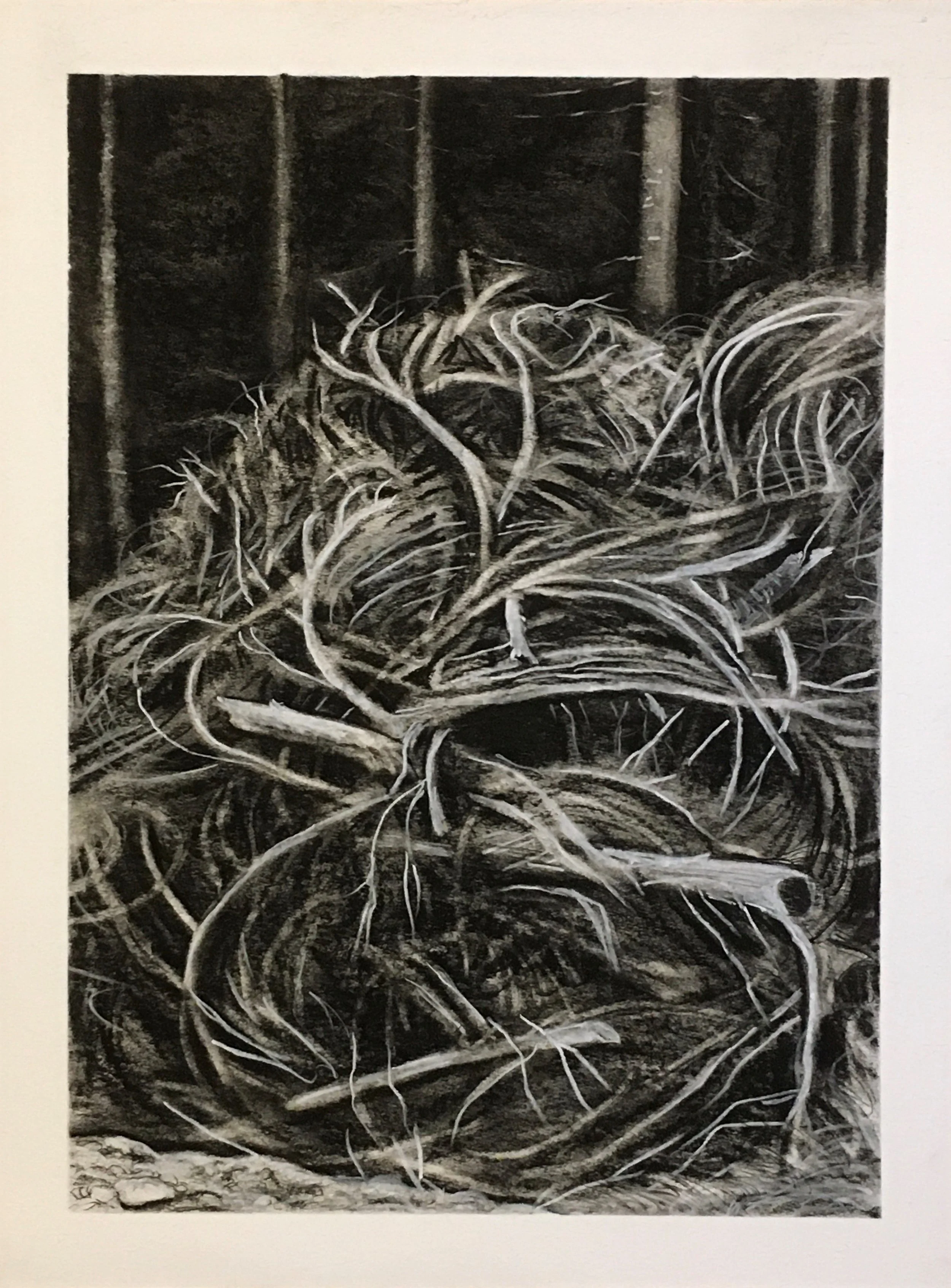 Monster Slash Heap at Mumquam, 2022 by Sherida Charles