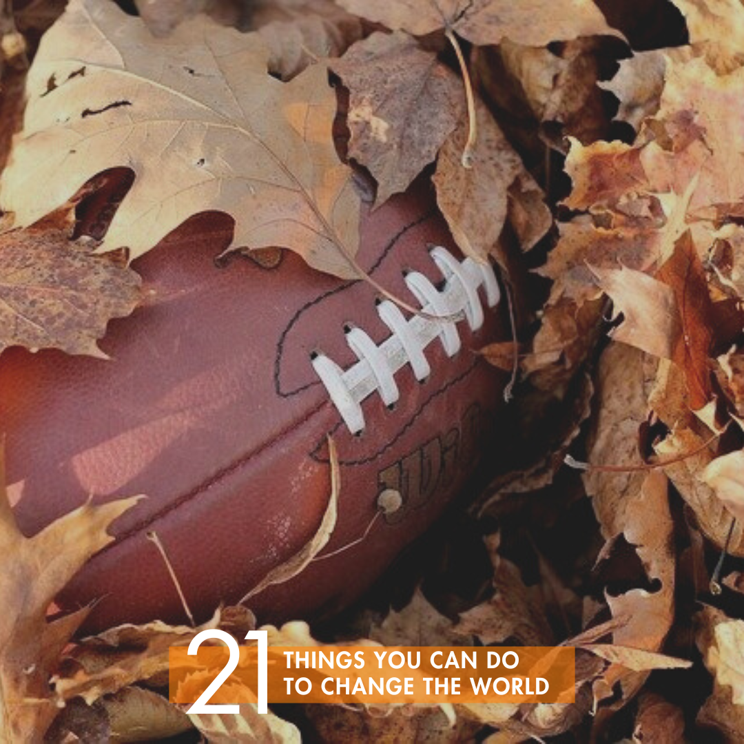 8 - Support efforts to stop inappropriate usage of Indigenous imagery for mascots