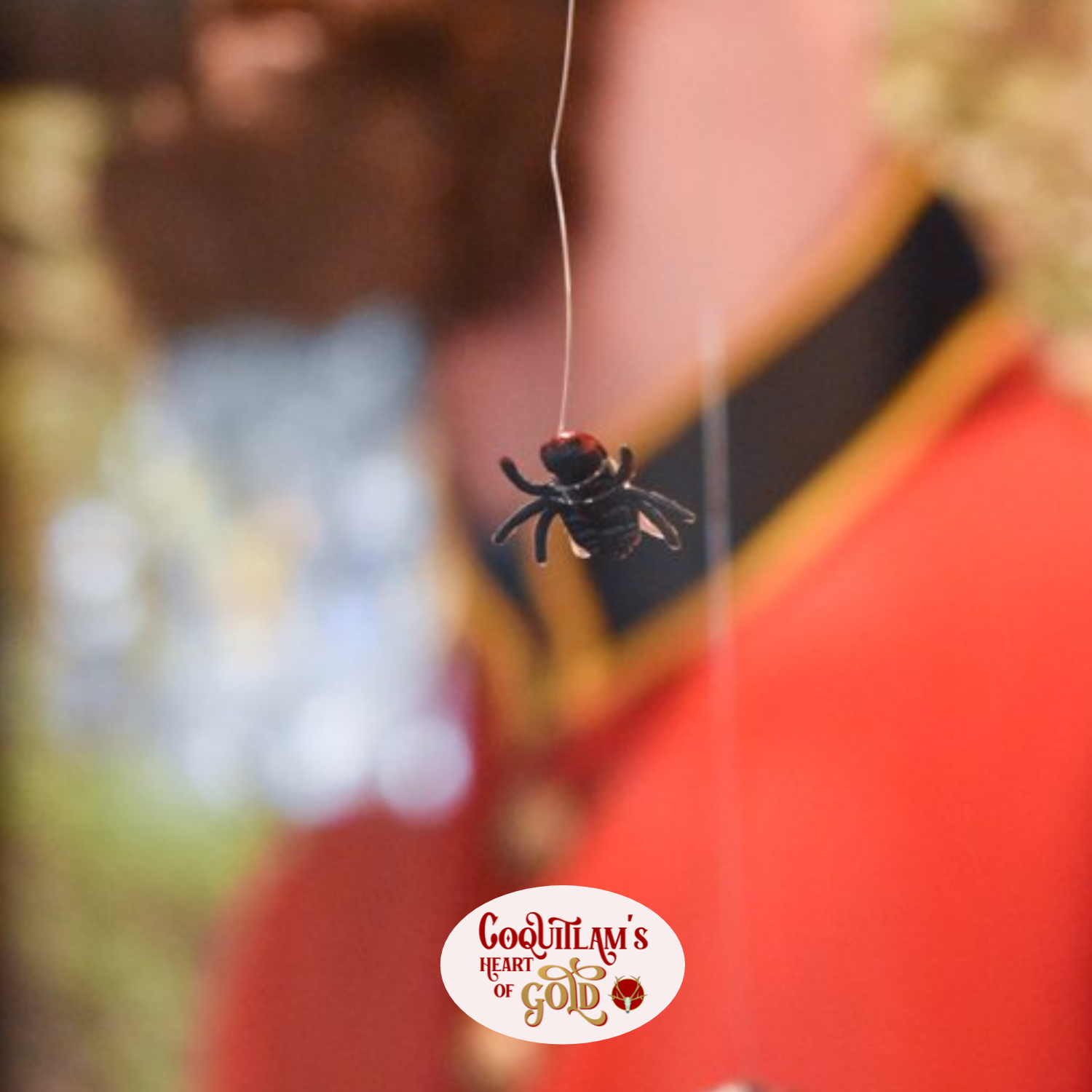 Gold Rush Bug Remedies