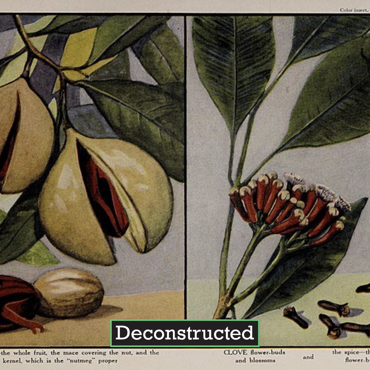 Hidden History: Spices