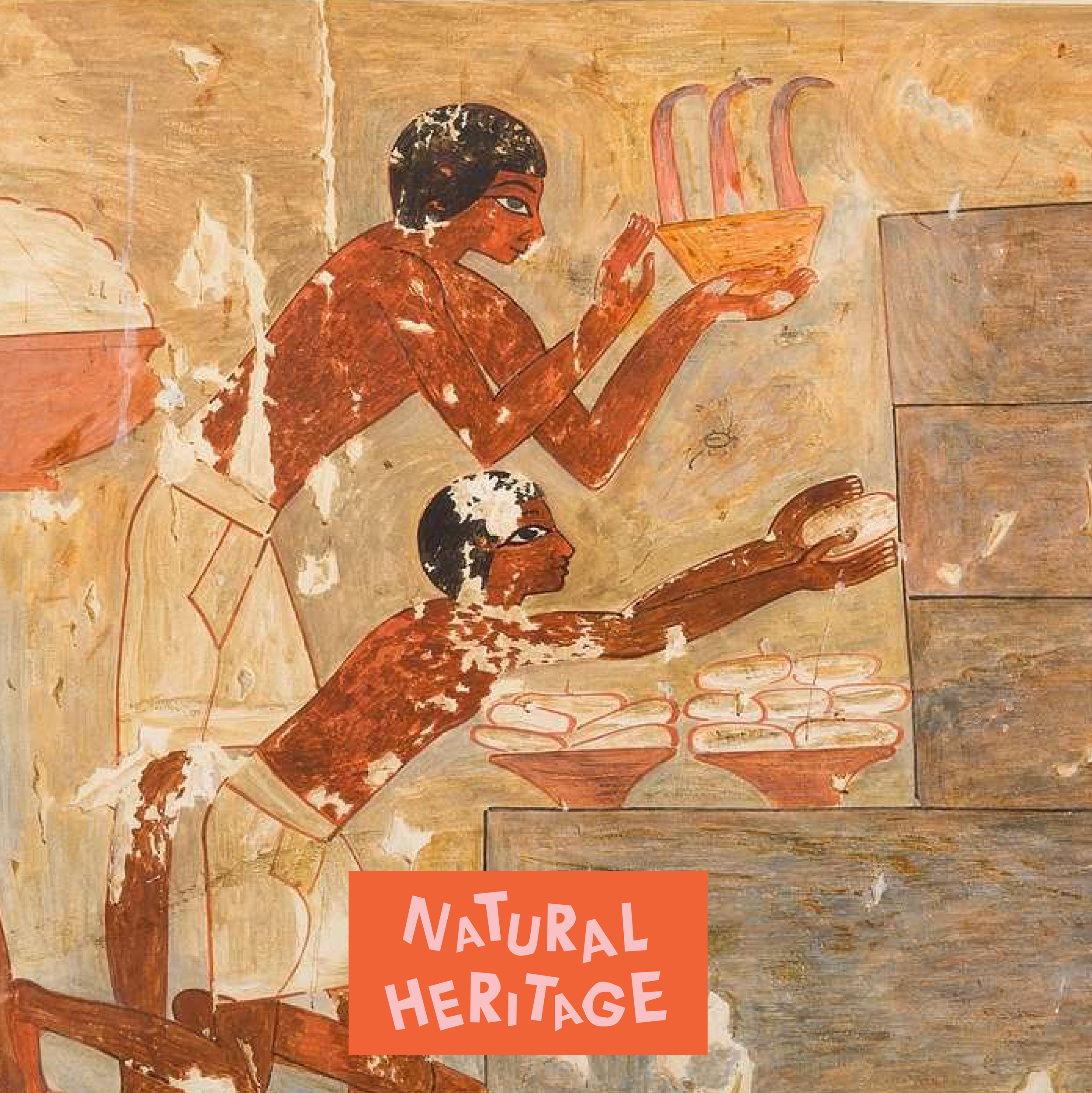 The Cultural Significance of Bees