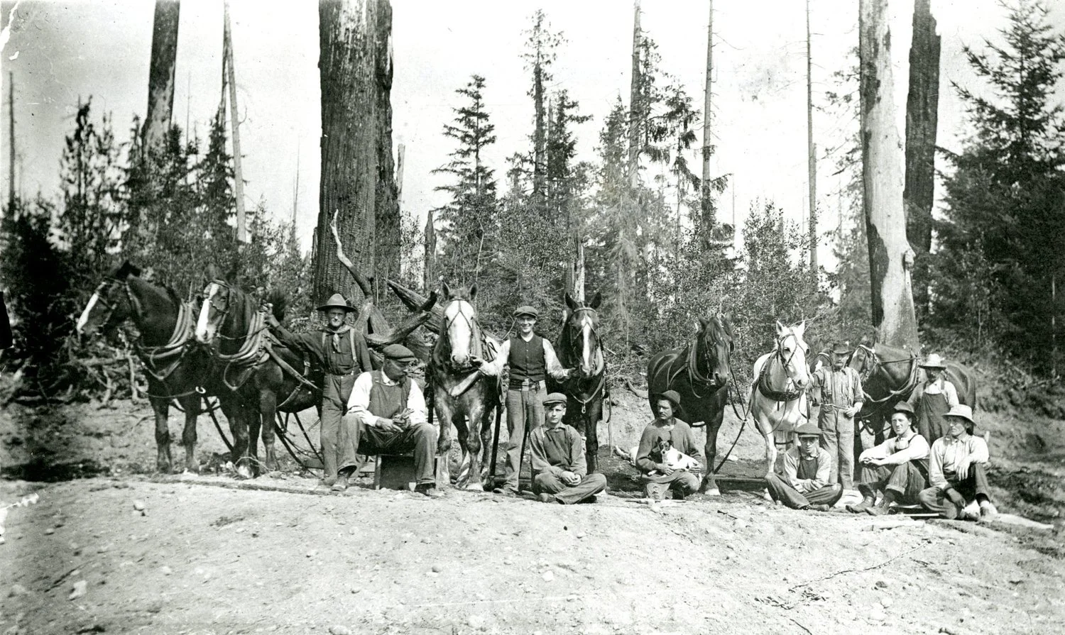 C6.1040__Vancouver_Golf_Course__1915.jpg