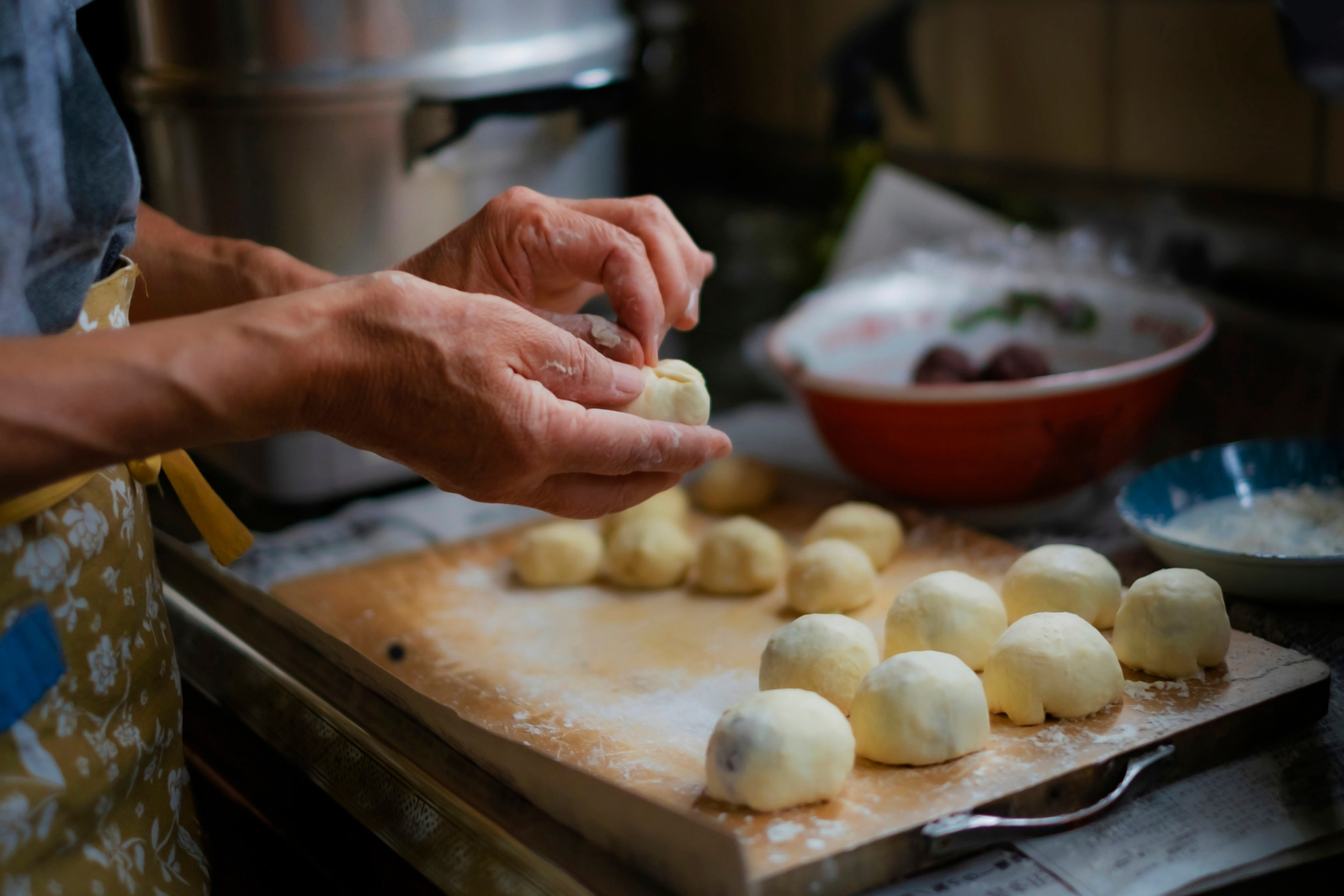 Feasts of Coquitlam: Sushi & Dumpling Making