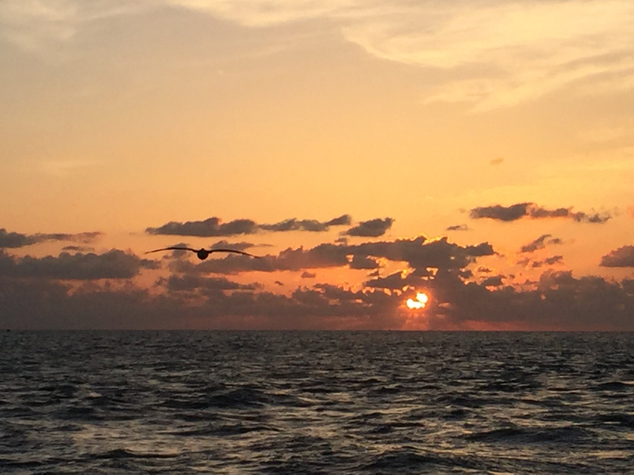 Sun setting over the Pacific Ocean with warm orange light.
