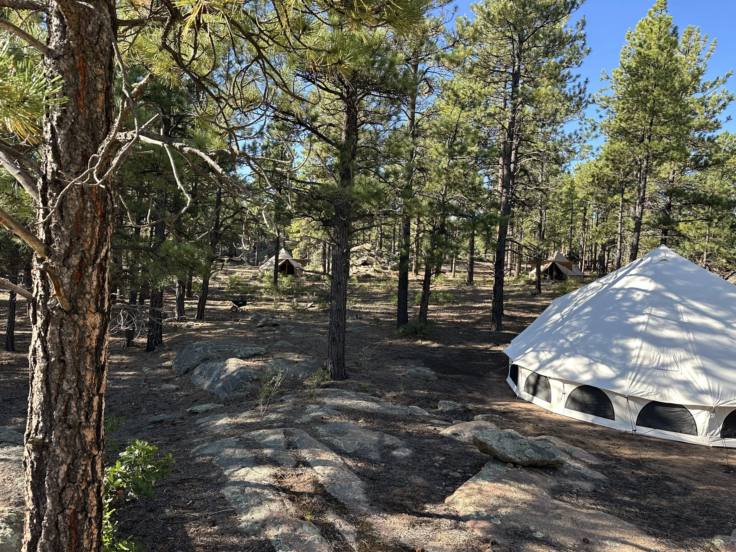 A Year of Tangible Growth