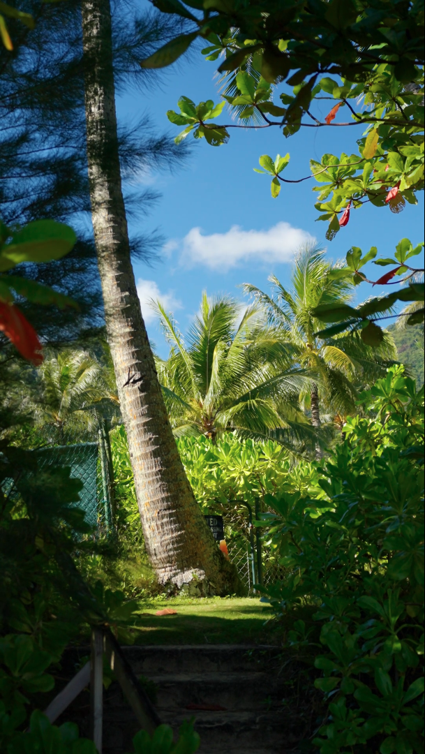 Screenshot 2026-03-02 at 10.13.54 AM.png