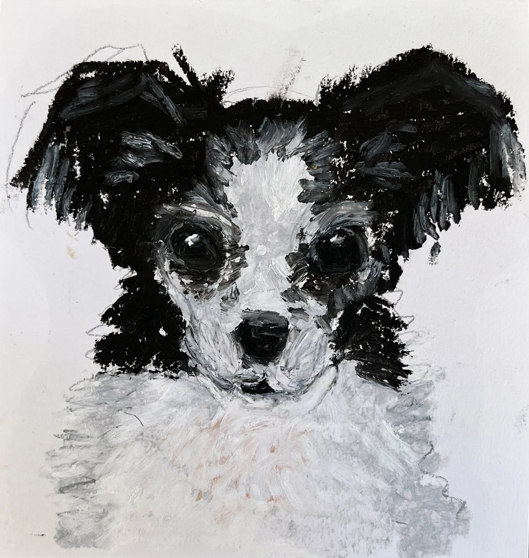 Stuart, oil pastels on paper, 6"x6"