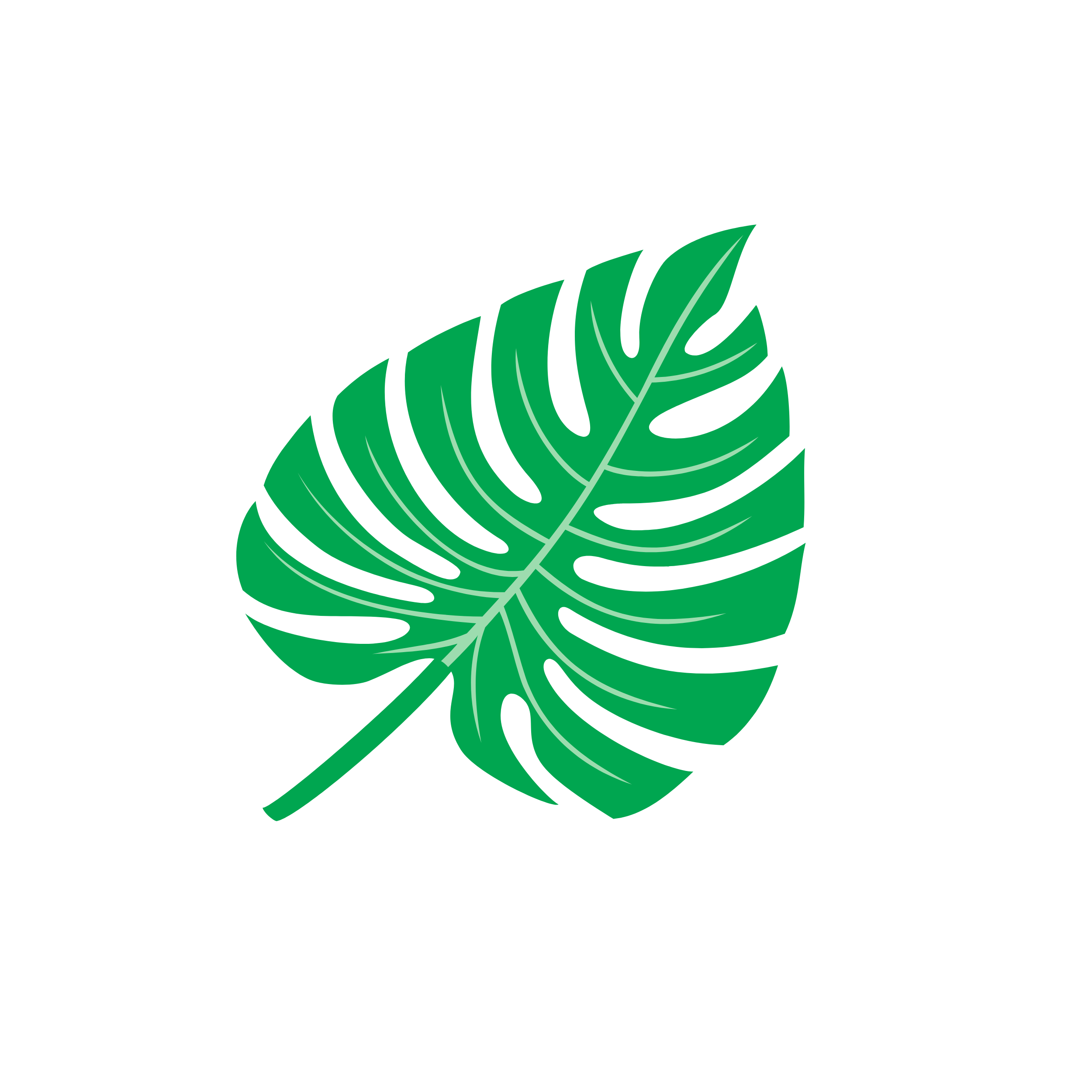 Illustration of a green monstera leaf with detailed veins on a black background.