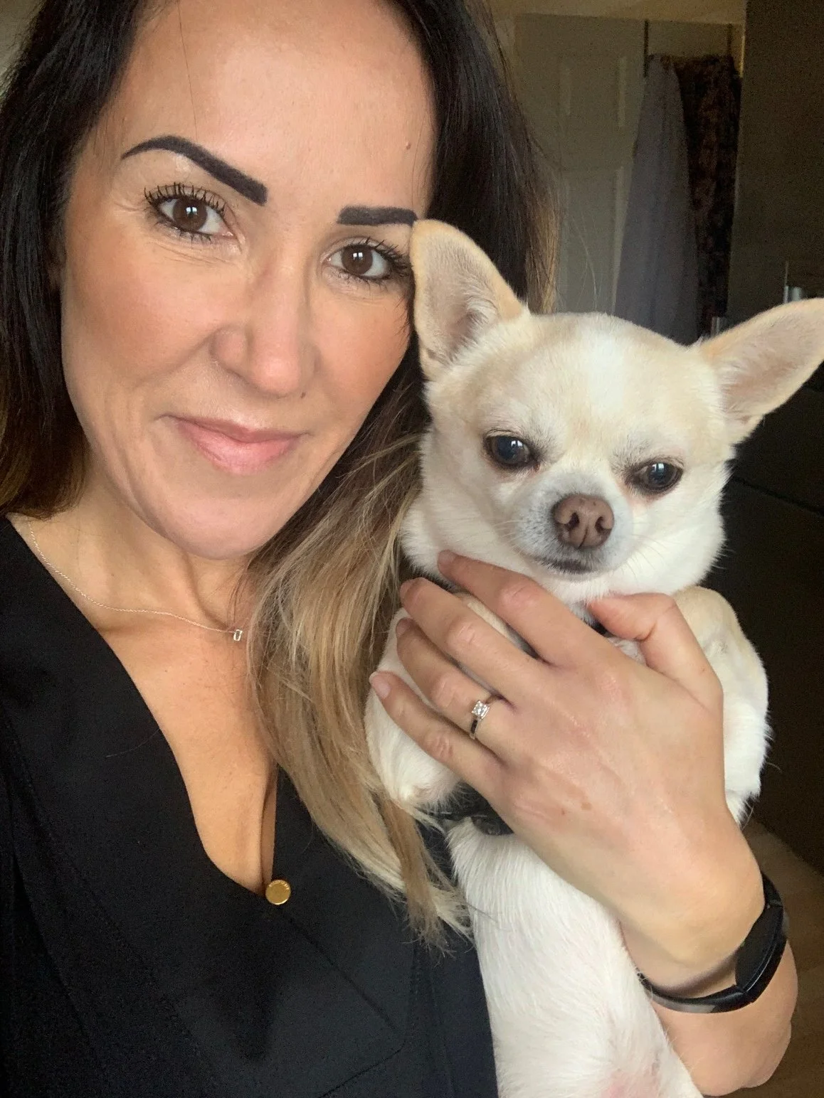 Professional wedding dog chaperone in Kent holding a calm chihuahua, showing caring and experienced dog handling