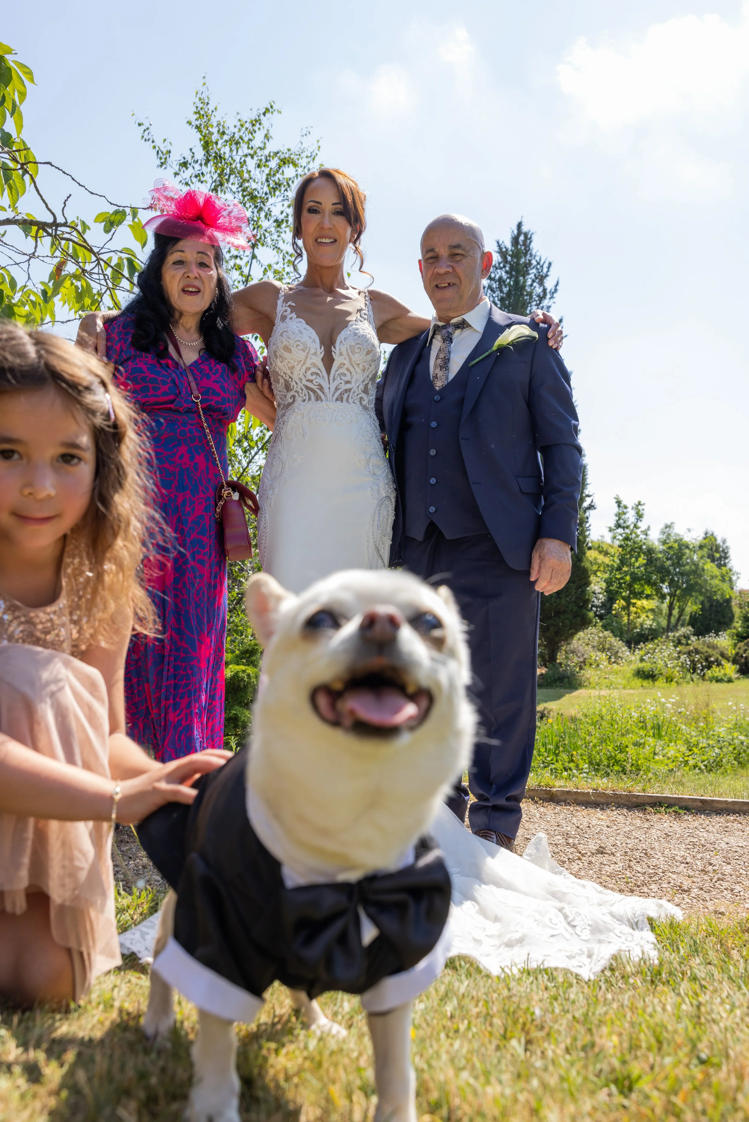 Chihuahua in wedding outfit - The Eventful Pup Wedding Dog Chaperone