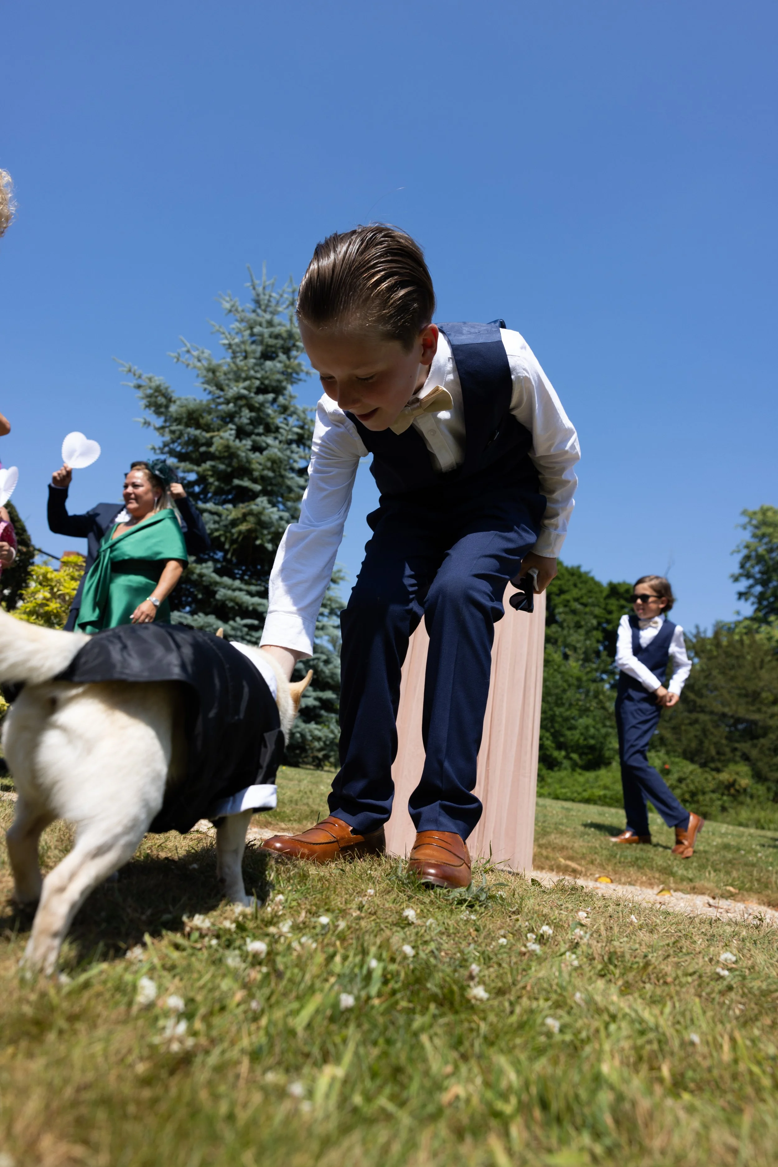 Chihuahua in wedding outfit - The Eventful Pup Wedding Dog Chaperone