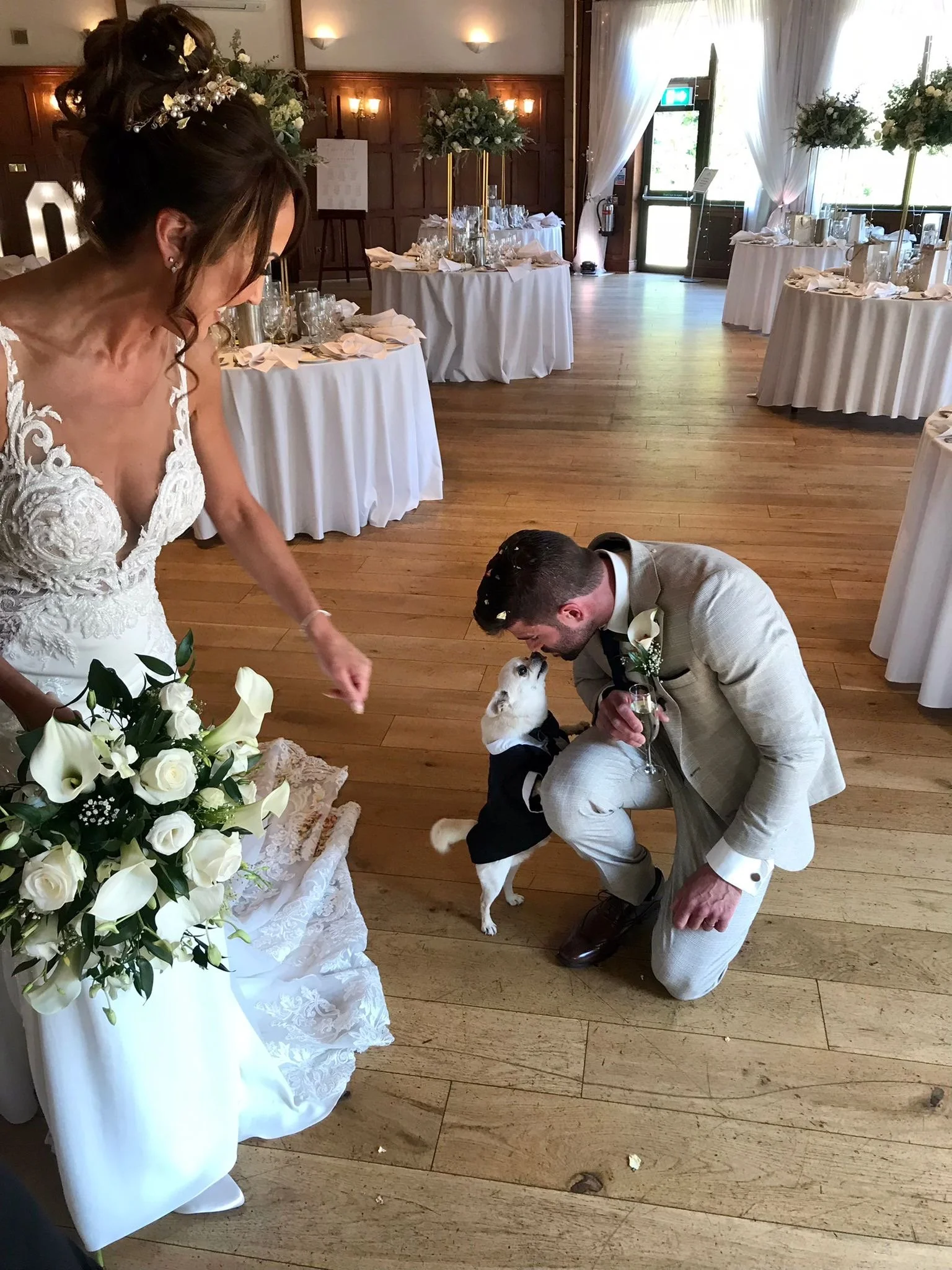 Bride and groom with their dog at wedding supported by professional dog chaperone service in Kent and Sussex