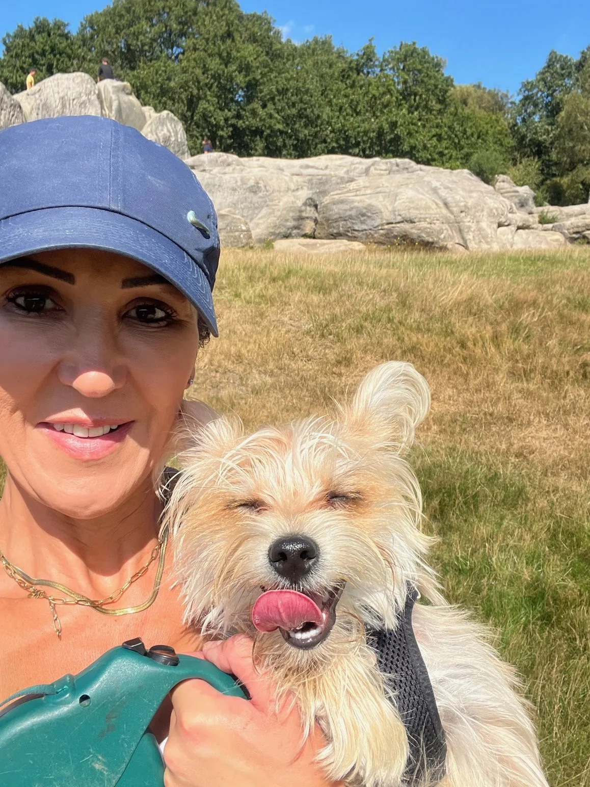 Professional wedding dog chaperone walking a small terrier during a countryside dog walk in Kent