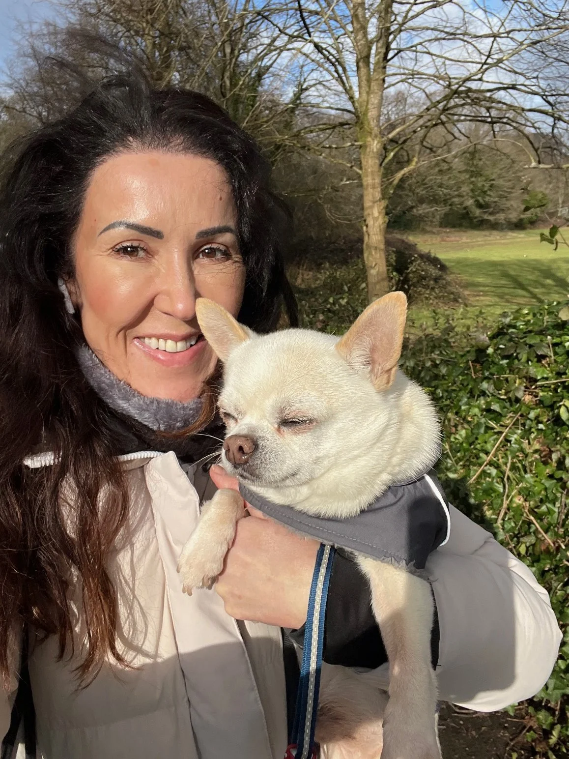 Professional wedding dog chaperone holding a chihuahua during countryside walk in Kent while caring for dogs attending weddings