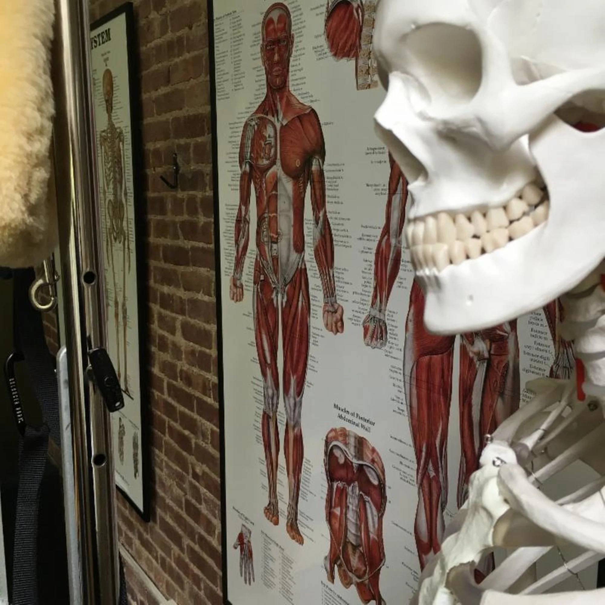 Group of women in a Pilates anatomy workshop