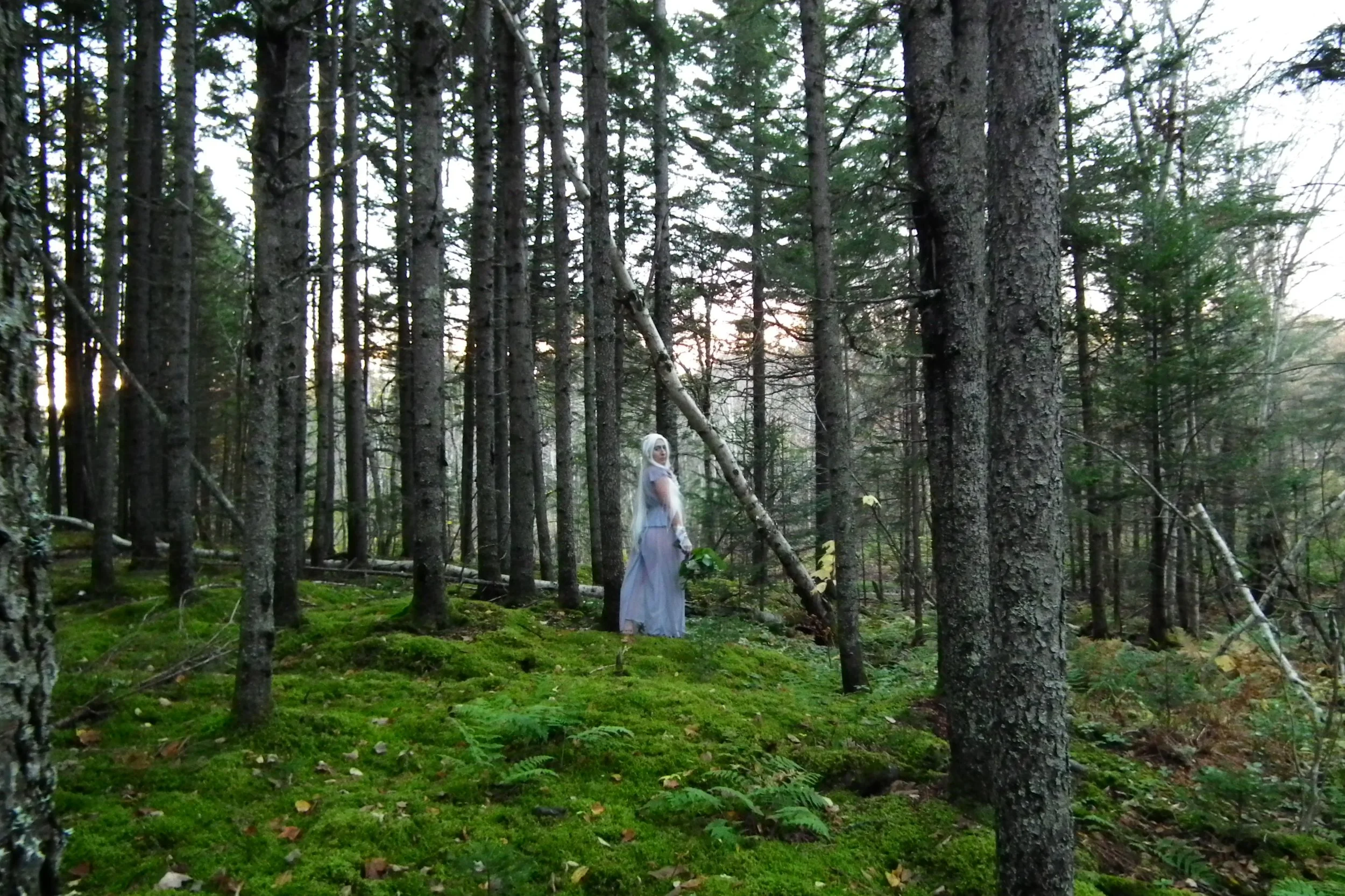 Lady0.JPG