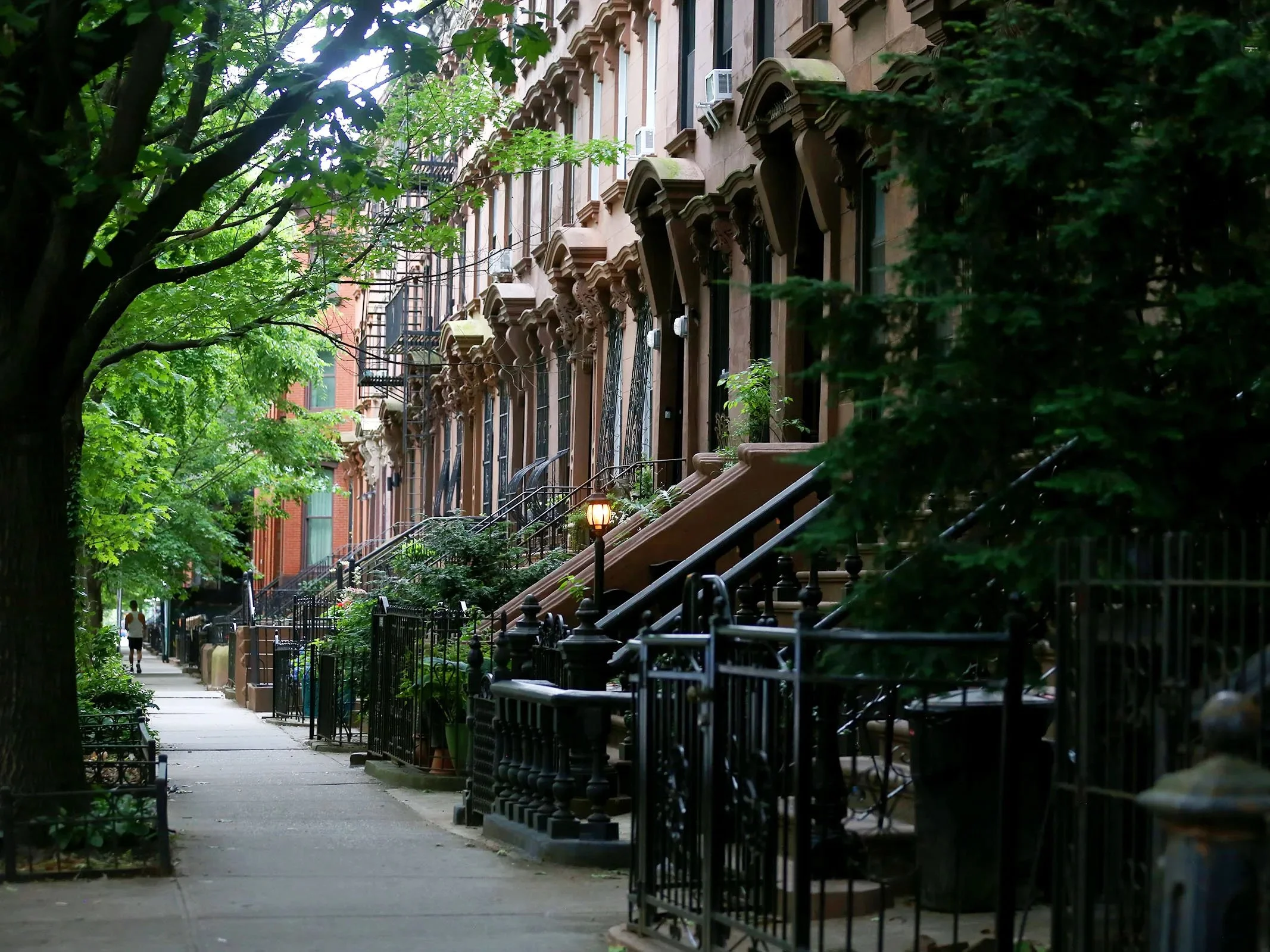 Row of brownstone buildings with stoops and iron railings on a tree-lined city sidewalk in the daytime.