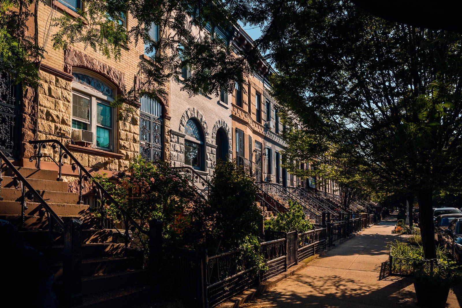 Street view of brownstone row houses with stairs and iron railings, trees lining the sidewalk, and parked cars, in an urban neighborhood.