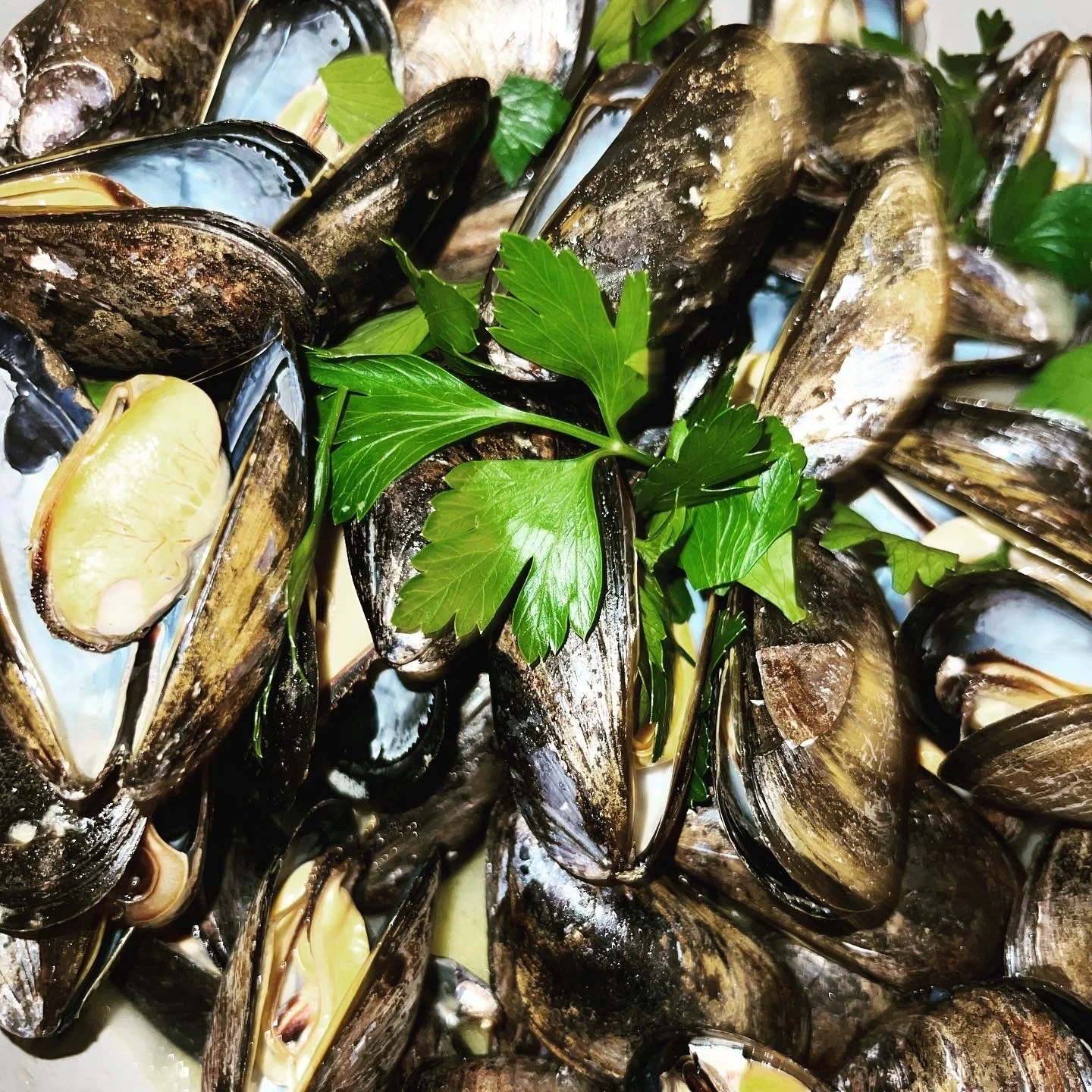 A close-up of cooked mussels garnished with fresh parsley leaves.
